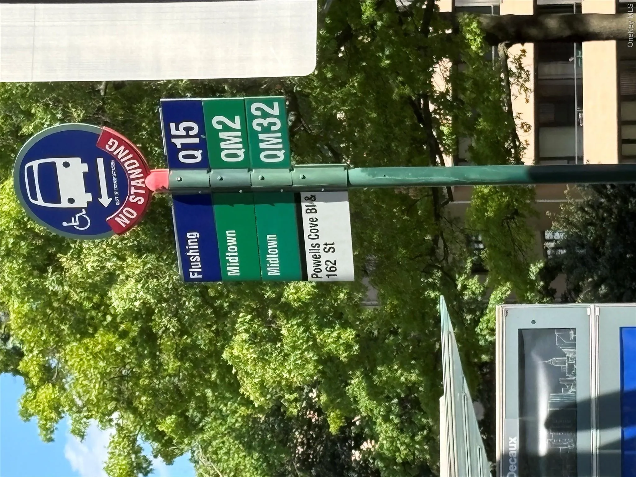 Local bus transportation options Local bus transportation options