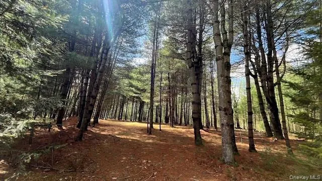 Lot 12 White Road, Lumberland, NY, ,Land,For Rent,White,0,992249 Lot 12 White Road, Lumberland, NY, ,Land,For Rent,White,0,992249