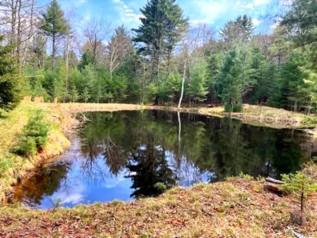 Lot 12 White Road, Lumberland, NY, ,Land,For Rent,White,0,992249 Lot 12 White Road, Lumberland, NY, ,Land,For Rent,White,0,992249