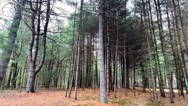 Lot 12 White Road, Lumberland, NY, ,Land,For Rent,White,0,992249 Lot 12 White Road, Lumberland, NY, ,Land,For Rent,White,0,992249