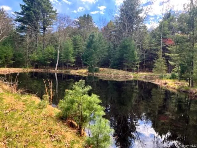 Lot 12 White Road, Lumberland, NY, ,Land,For Rent,White,0,992249 Lot 12 White Road, Lumberland, NY, ,Land,For Rent,White,0,992249