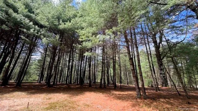 Lot 12 White Road, Lumberland, NY, ,Land,For Rent,White,0,992249 Lot 12 White Road, Lumberland, NY, ,Land,For Rent,White,0,992249