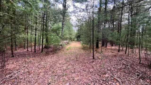 Lot 12 White Road, Lumberland, NY, ,Land,For Rent,White,0,992249 Lot 12 White Road, Lumberland, NY, ,Land,For Rent,White,0,992249
