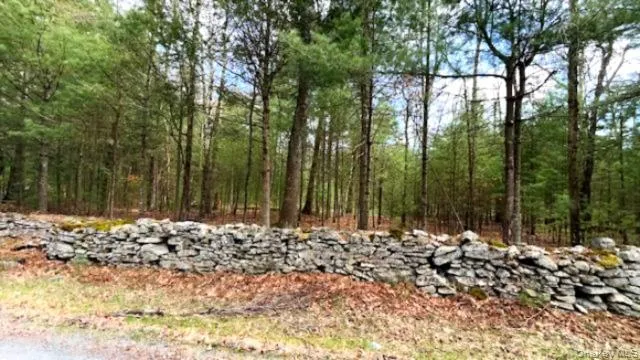 Lot 12 White Road, Lumberland, NY, ,Land,For Rent,White,0,992249 Lot 12 White Road, Lumberland, NY, ,Land,For Rent,White,0,992249
