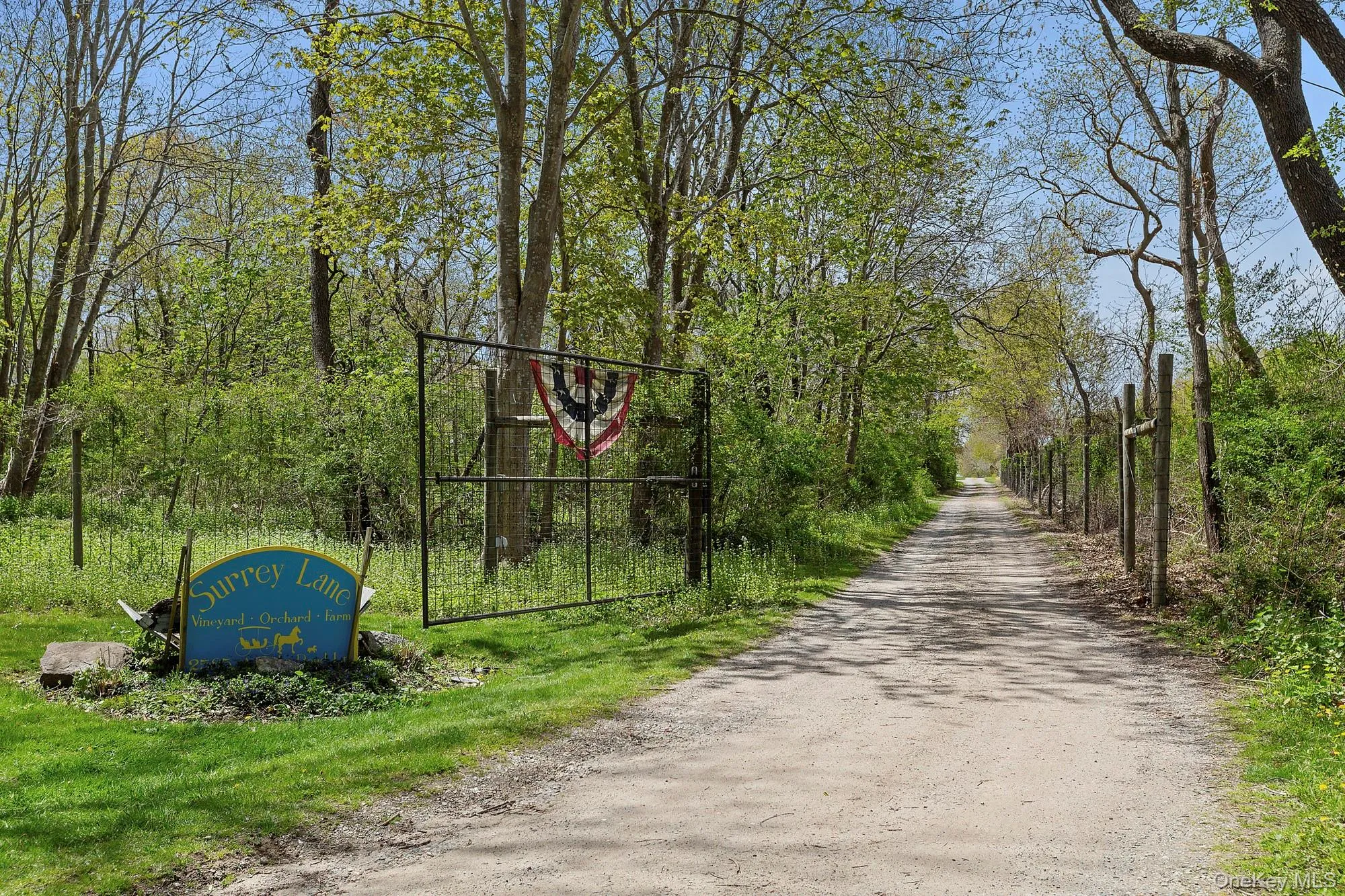 46975 Main Road, Southold, NY, ,Land,For Rent,Main,0,992332 46975 Main Road, Southold, NY, ,Land,For Rent,Main,0,992332