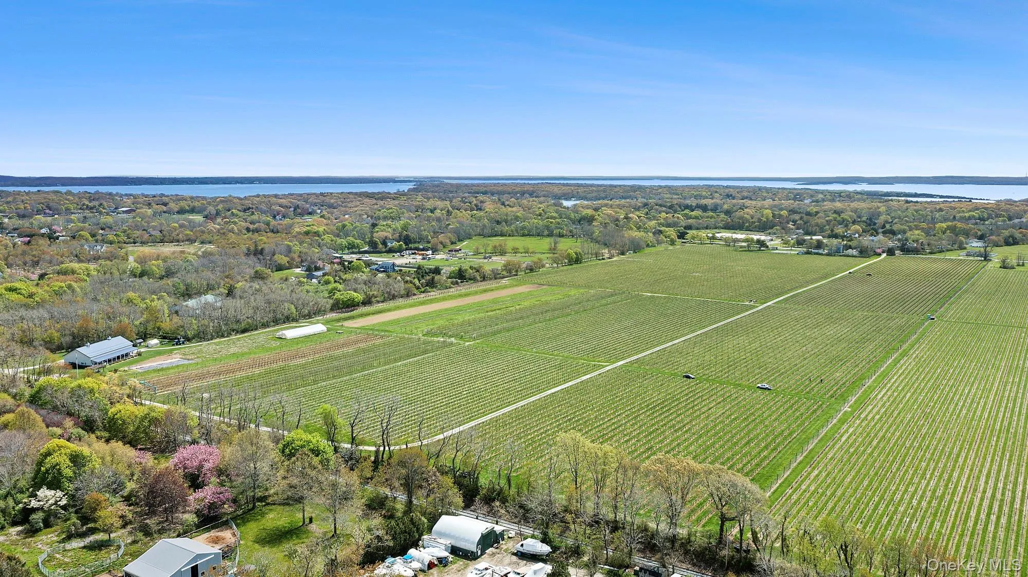 46975 Main Road, Southold, NY, ,Land,For Rent,Main,0,992332 46975 Main Road, Southold, NY, ,Land,For Rent,Main,0,992332