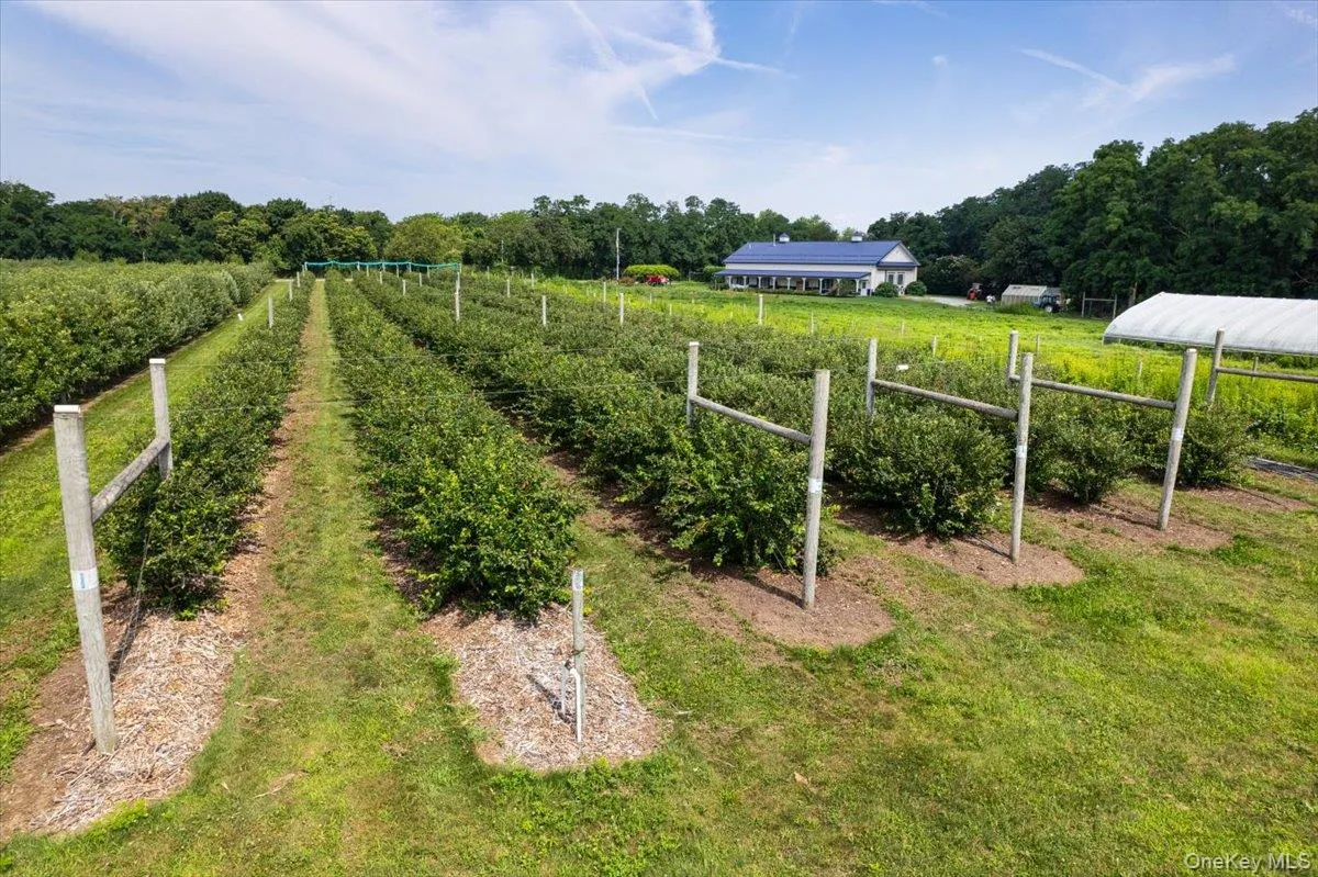 46975 Main Road, Southold, NY, ,Land,For Rent,Main,0,992332 46975 Main Road, Southold, NY, ,Land,For Rent,Main,0,992332