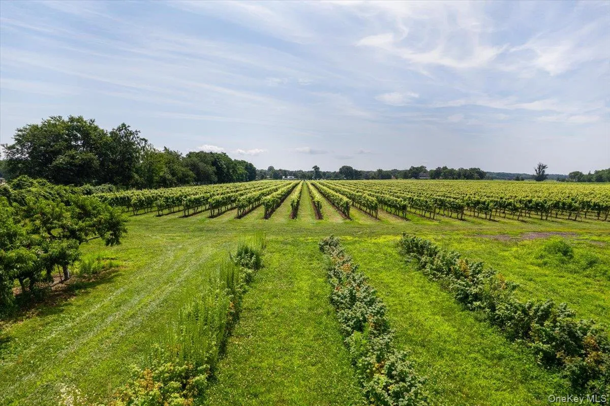 46975 Main Road, Southold, NY, ,Land,For Rent,Main,0,992332 46975 Main Road, Southold, NY, ,Land,For Rent,Main,0,992332