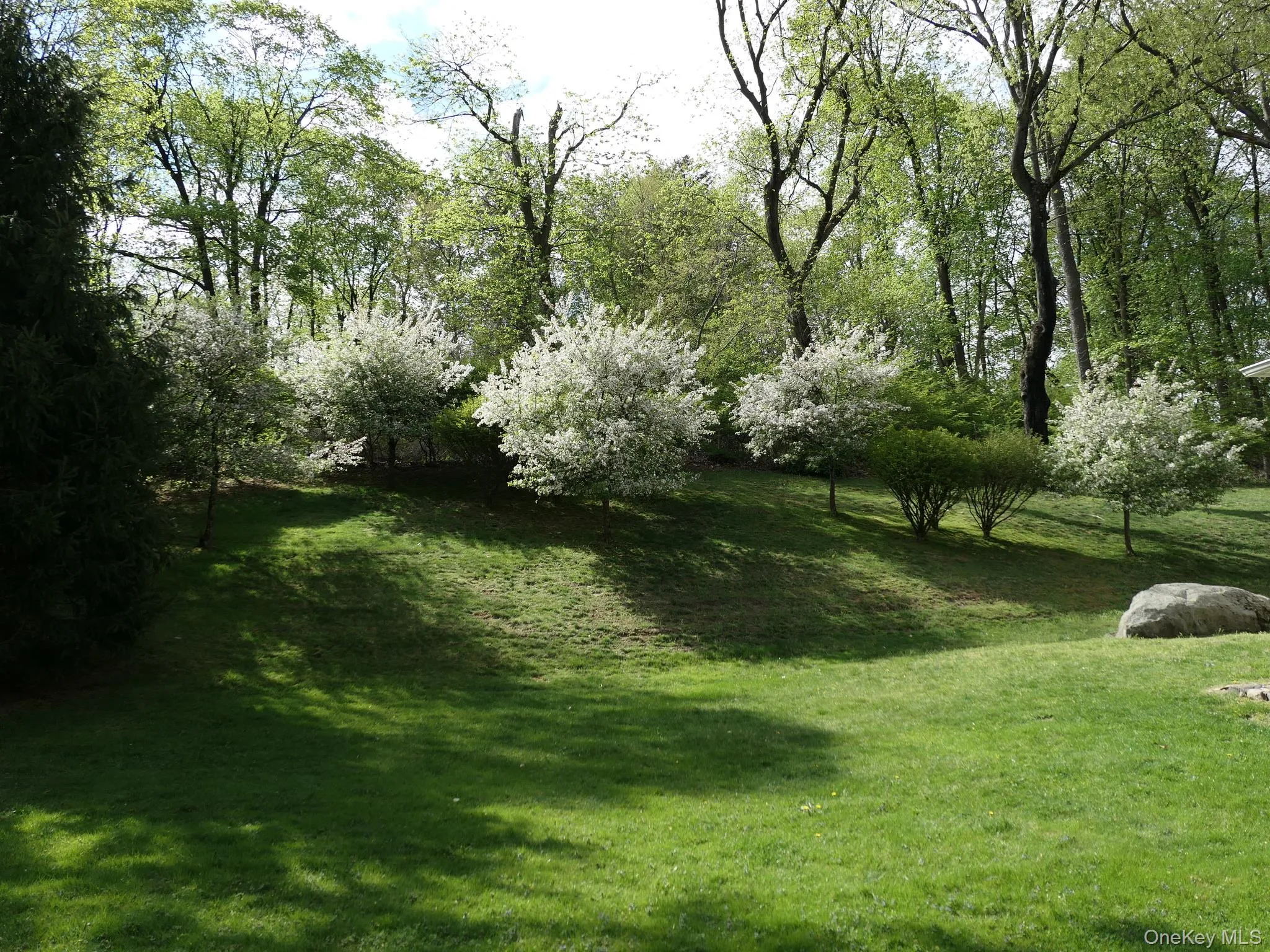 Lovely Crab Apple Trees. Lovely Crab Apple Trees.