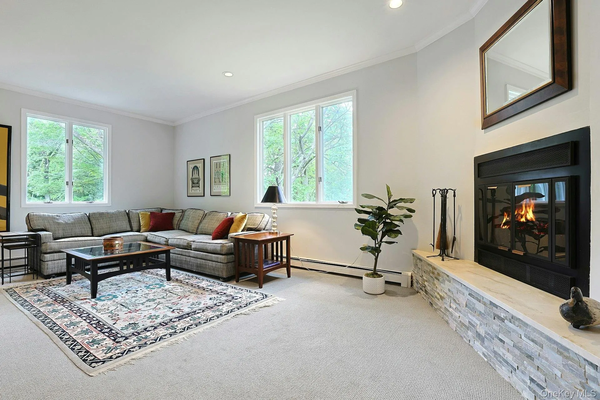 Family Room/Den Family Room/Den