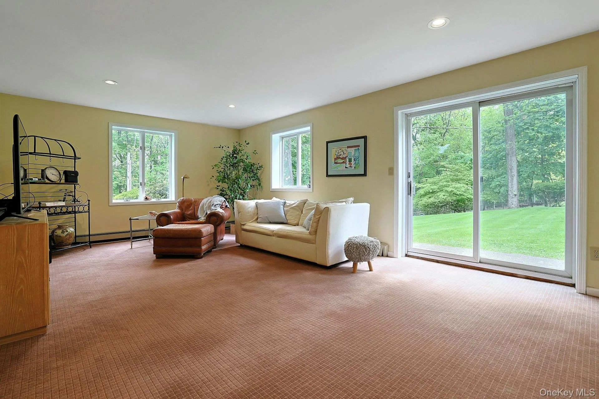 Lower Level Family Room Lower Level Family Room