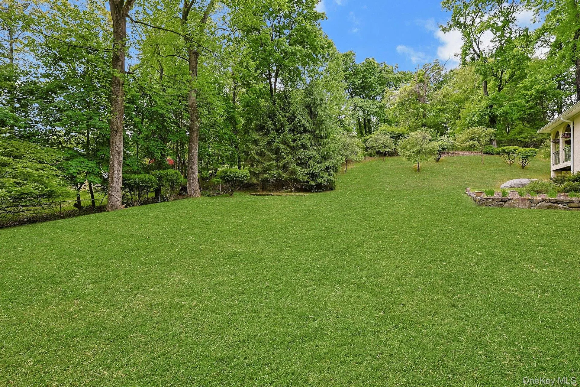 Side Yard Side Yard