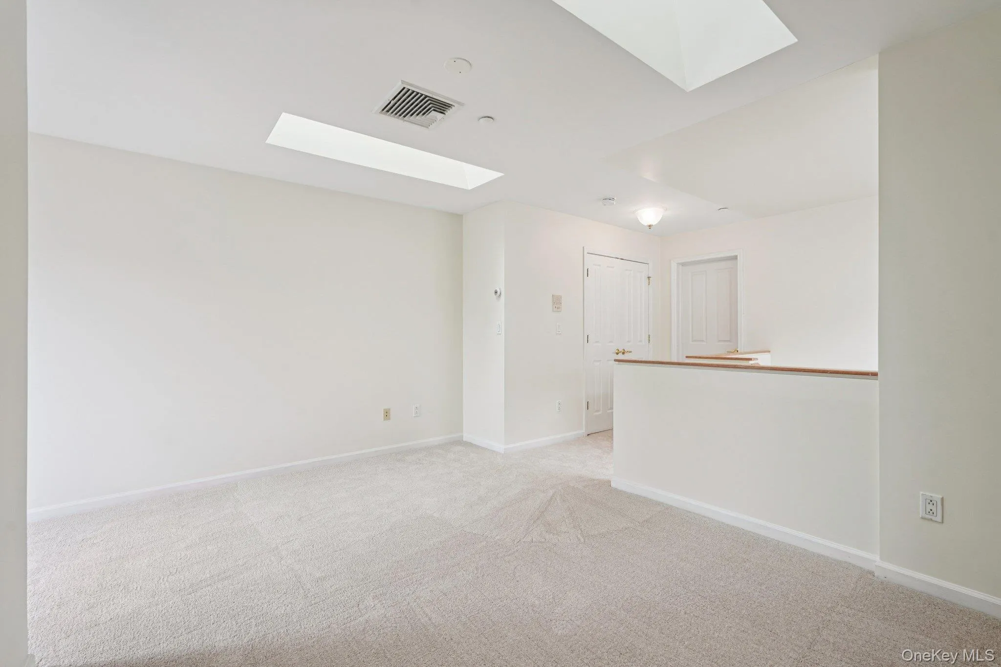with skylights and rooftop deck with skylights and rooftop deck
