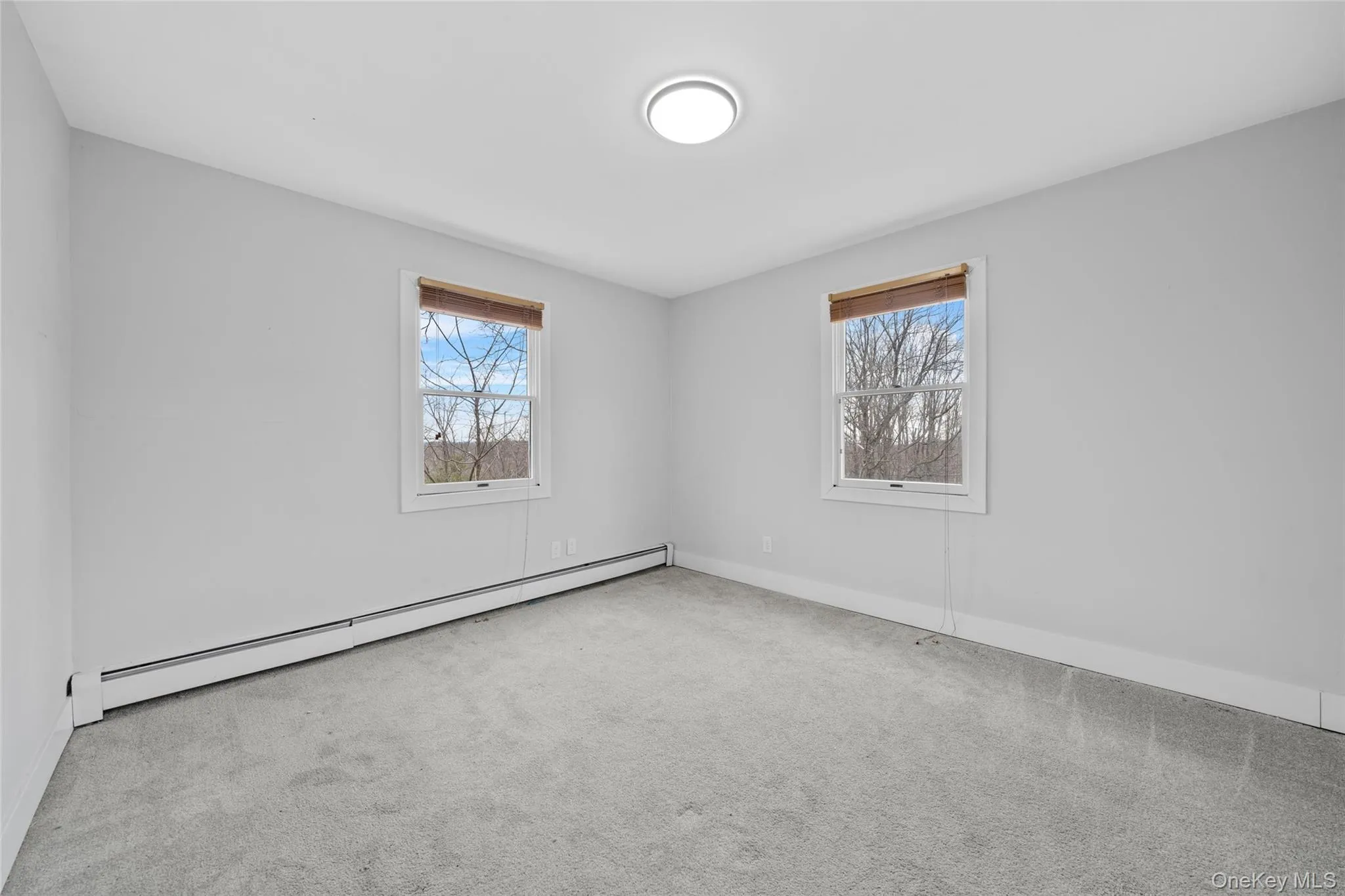 Carpeted empty room featuring baseboards, baseboard heating, and a healthy amount of sunlight Carpeted empty room featuring baseboards, baseboard heating, and a healthy amount of sunlight
