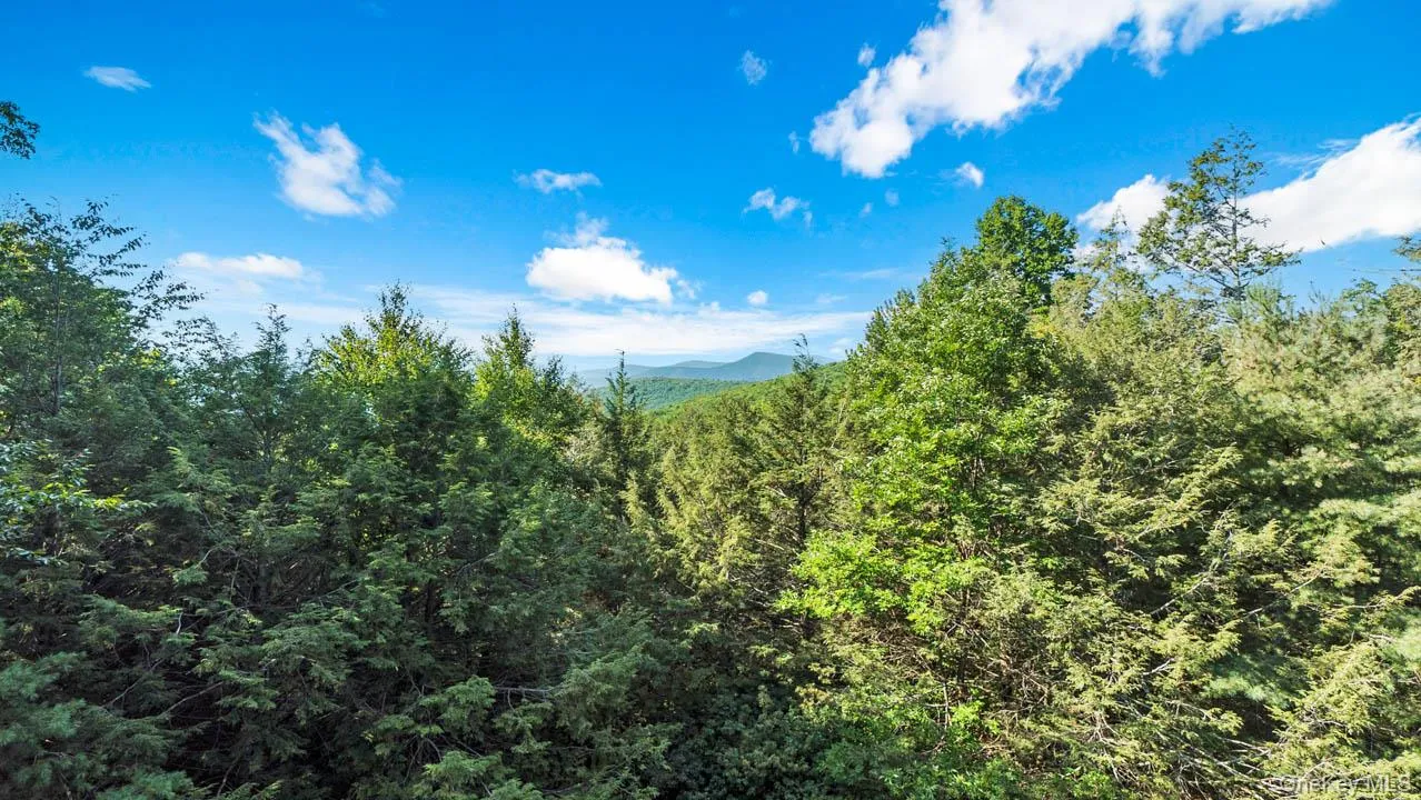 376 Abbey Road, Woodstock, NY, 2 Bedrooms Bedrooms, 5 Rooms Rooms,2 BathroomsBathrooms,Residential Lease,For Rent,Abbey,0,992519 376 Abbey Road, Woodstock, NY, 2 Bedrooms Bedrooms, 5 Rooms Rooms,2 BathroomsBathrooms,Residential Lease,For Rent,Abbey,0,992519