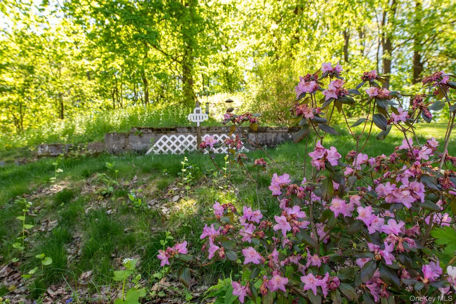 24 Market Street, Hyde Park, NY, 3 Bedrooms Bedrooms, 6 Rooms Rooms,2 BathroomsBathrooms,Residential,For Rent,Market,0,992539 24 Market Street, Hyde Park, NY, 3 Bedrooms Bedrooms, 6 Rooms Rooms,2 BathroomsBathrooms,Residential,For Rent,Market,0,992539
