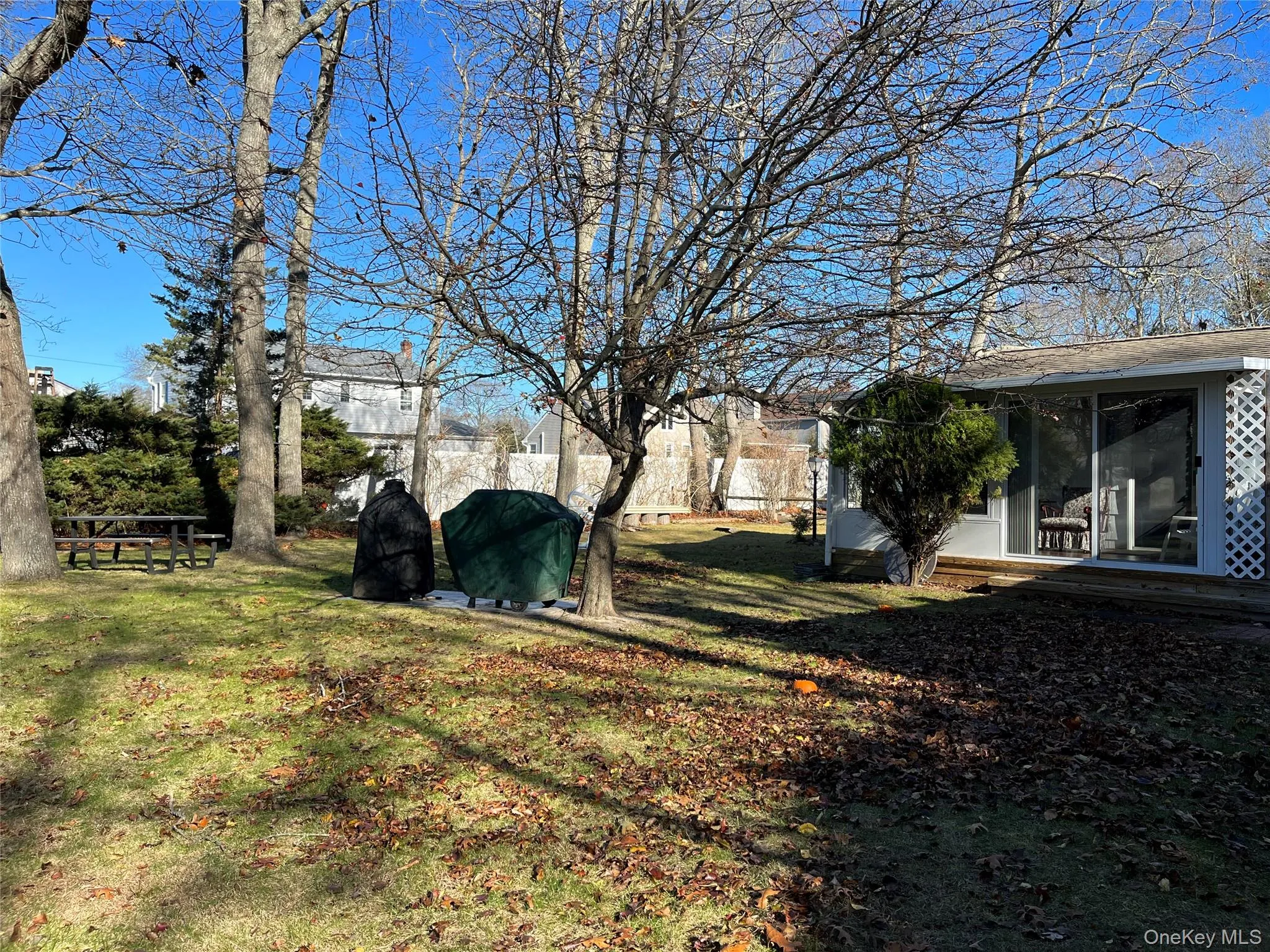 Great yard space Great yard space