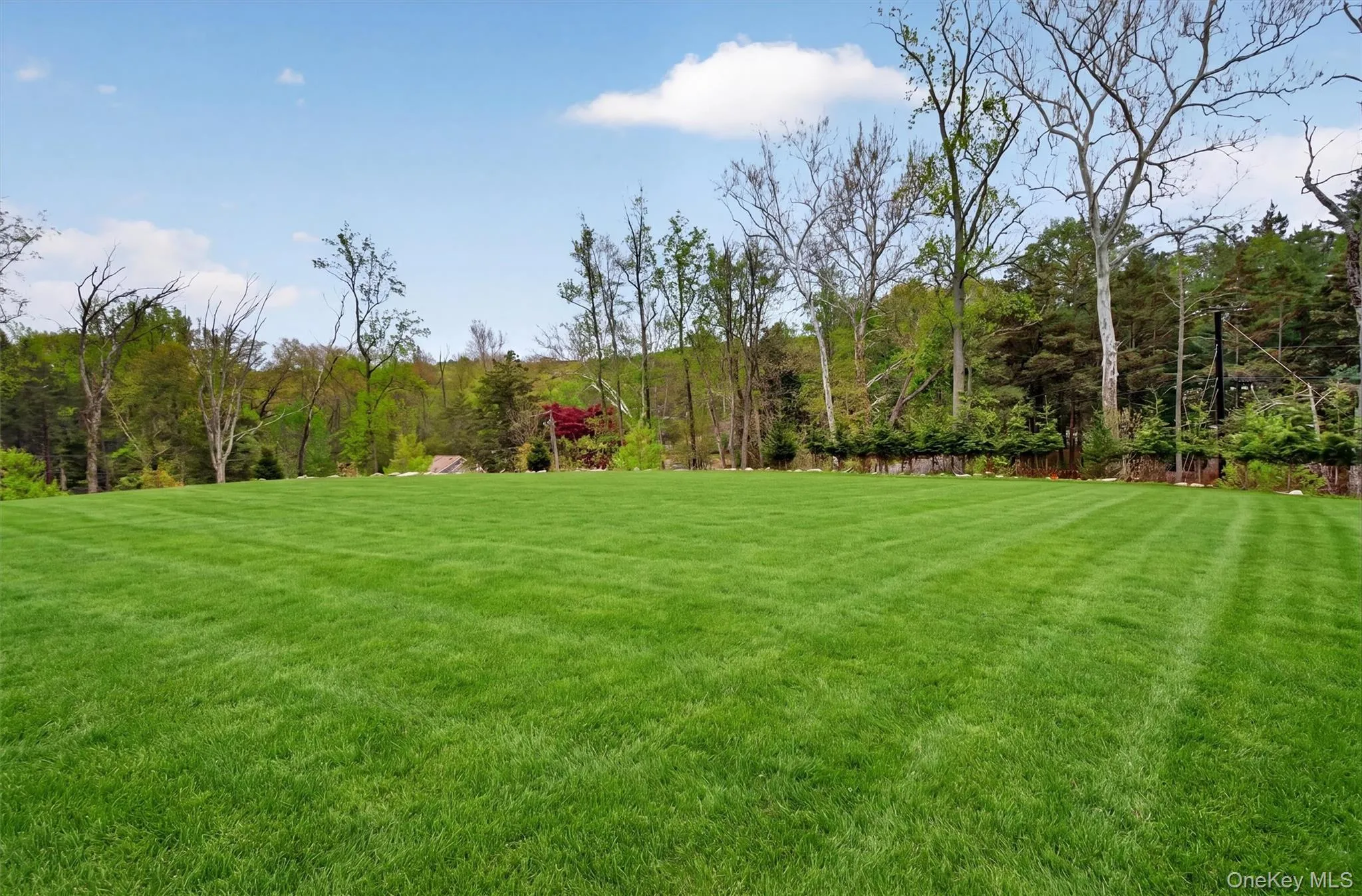 237 South Mountain Road, Clarkstown, NY, 5 Bedrooms Bedrooms, 18 Rooms Rooms,3 BathroomsBathrooms,Residential,For Rent,South Mountain,0,992585 237 South Mountain Road, Clarkstown, NY, 5 Bedrooms Bedrooms, 18 Rooms Rooms,3 BathroomsBathrooms,Residential,For Rent,South Mountain,0,992585