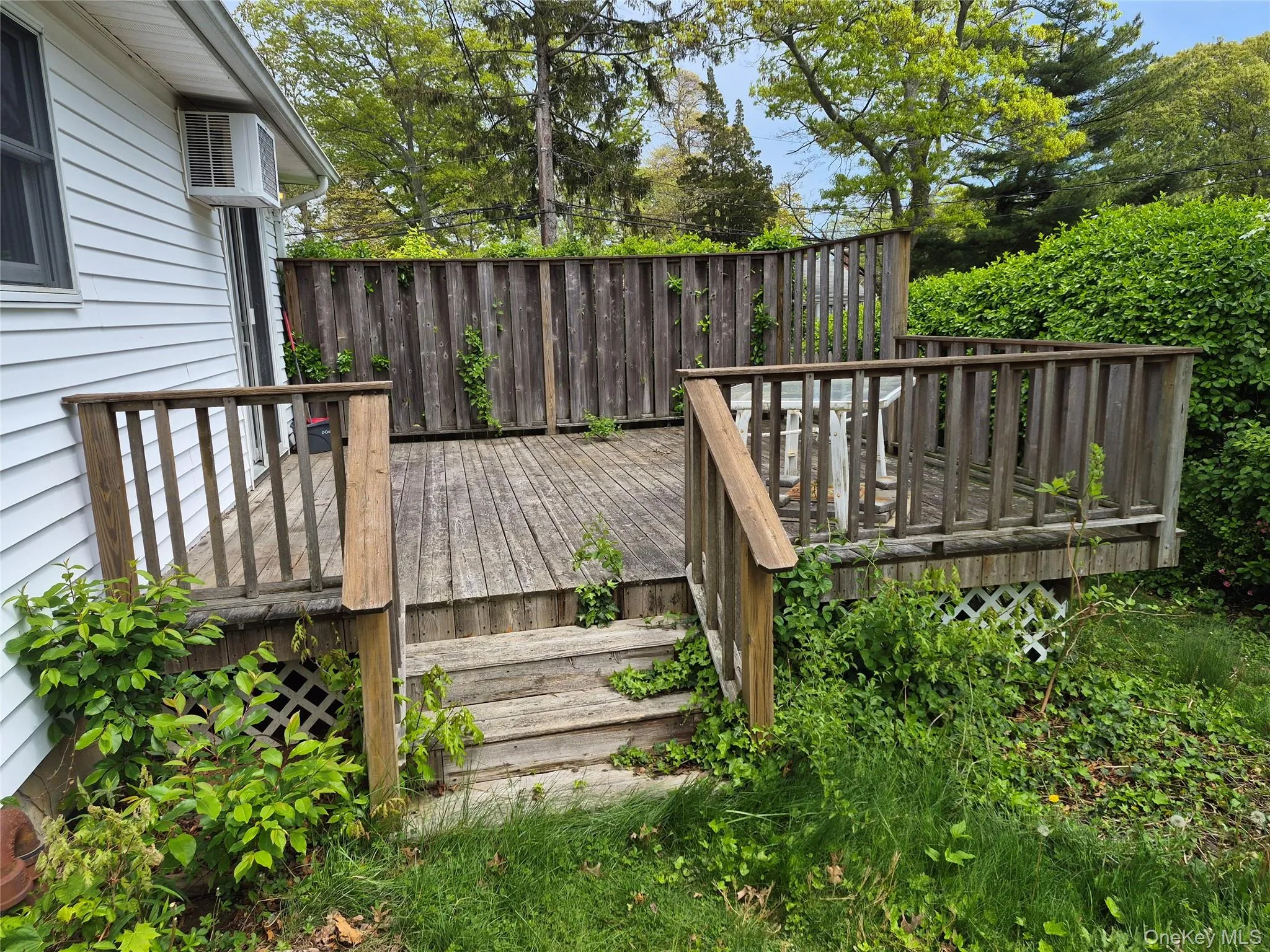 24 Lavender Road, Brookhaven, NY, 3 Bedrooms Bedrooms, 7 Rooms Rooms,2 BathroomsBathrooms,Residential,For Rent,Lavender,0,992722 24 Lavender Road, Brookhaven, NY, 3 Bedrooms Bedrooms, 7 Rooms Rooms,2 BathroomsBathrooms,Residential,For Rent,Lavender,0,992722