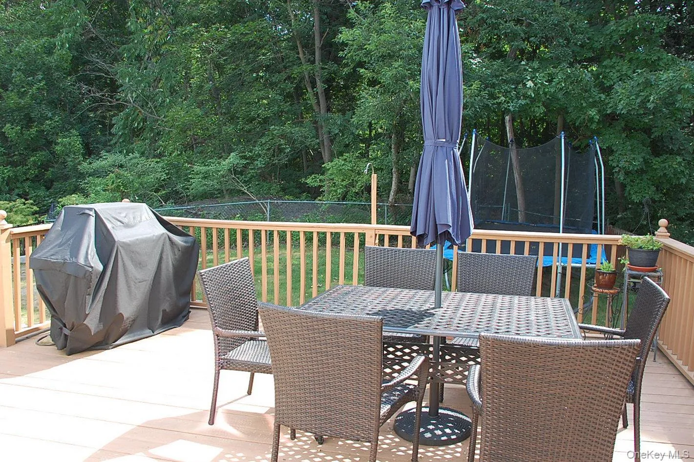 Deck Deck