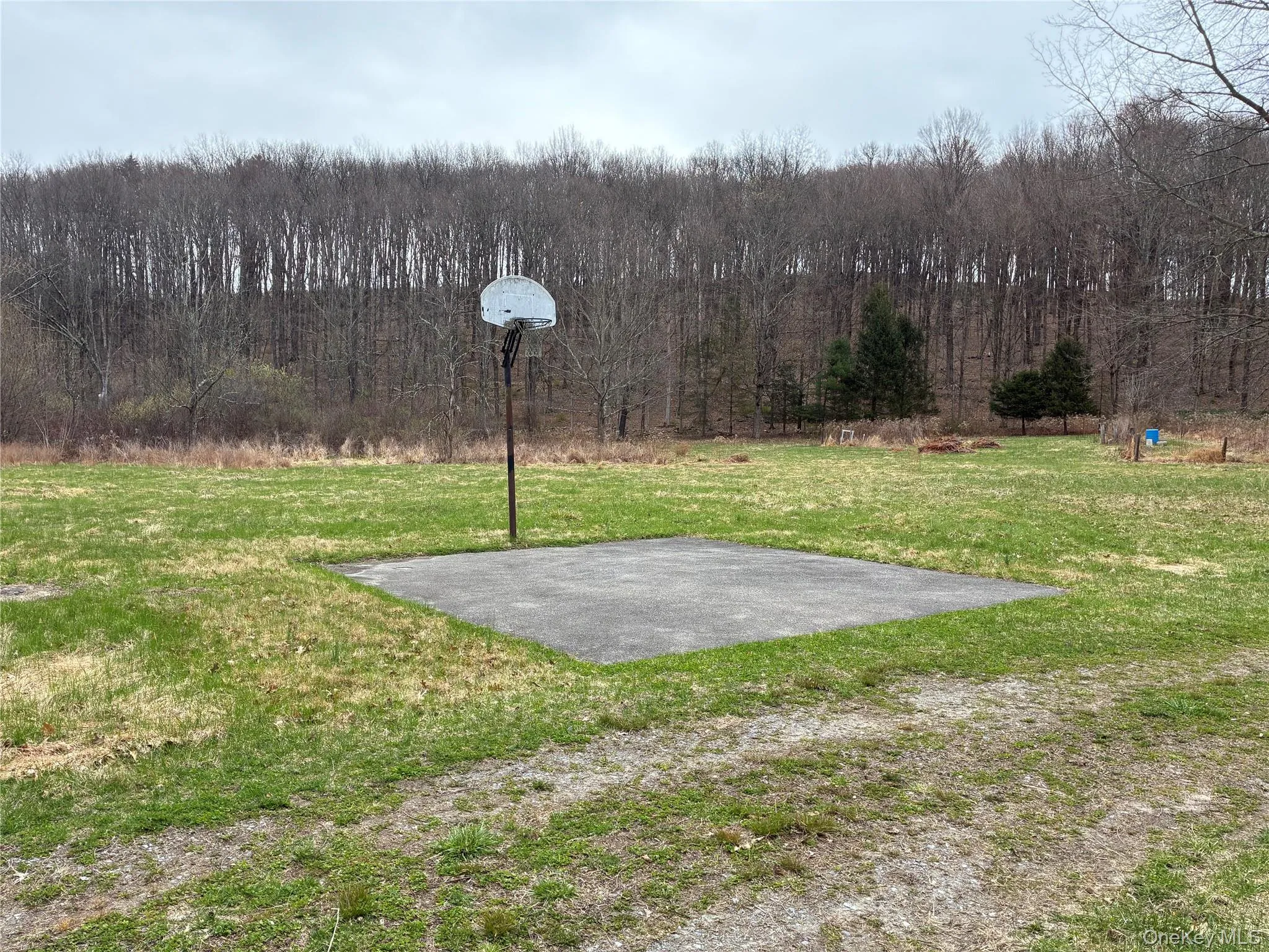 Rt-55 Vineyard Avenue Avenue, Lloyd, NY, ,Land,For Rent,Rt-55 Vineyard Avenue,0,992866 Rt-55 Vineyard Avenue Avenue, Lloyd, NY, ,Land,For Rent,Rt-55 Vineyard Avenue,0,992866