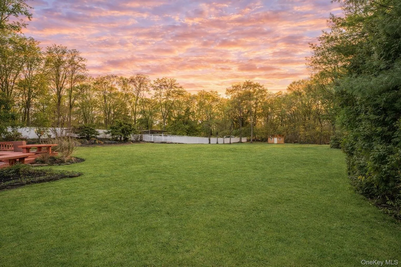 View of yard with view of scattered trees View of yard with view of scattered trees