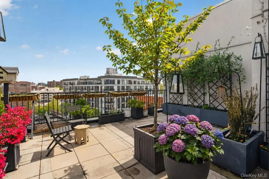 225 138th Street, New York, NY, 2 Bedrooms Bedrooms, 6 Rooms Rooms,2 BathroomsBathrooms,Residential,For Rent,138th,0,993010 225 138th Street, New York, NY, 2 Bedrooms Bedrooms, 6 Rooms Rooms,2 BathroomsBathrooms,Residential,For Rent,138th,0,993010