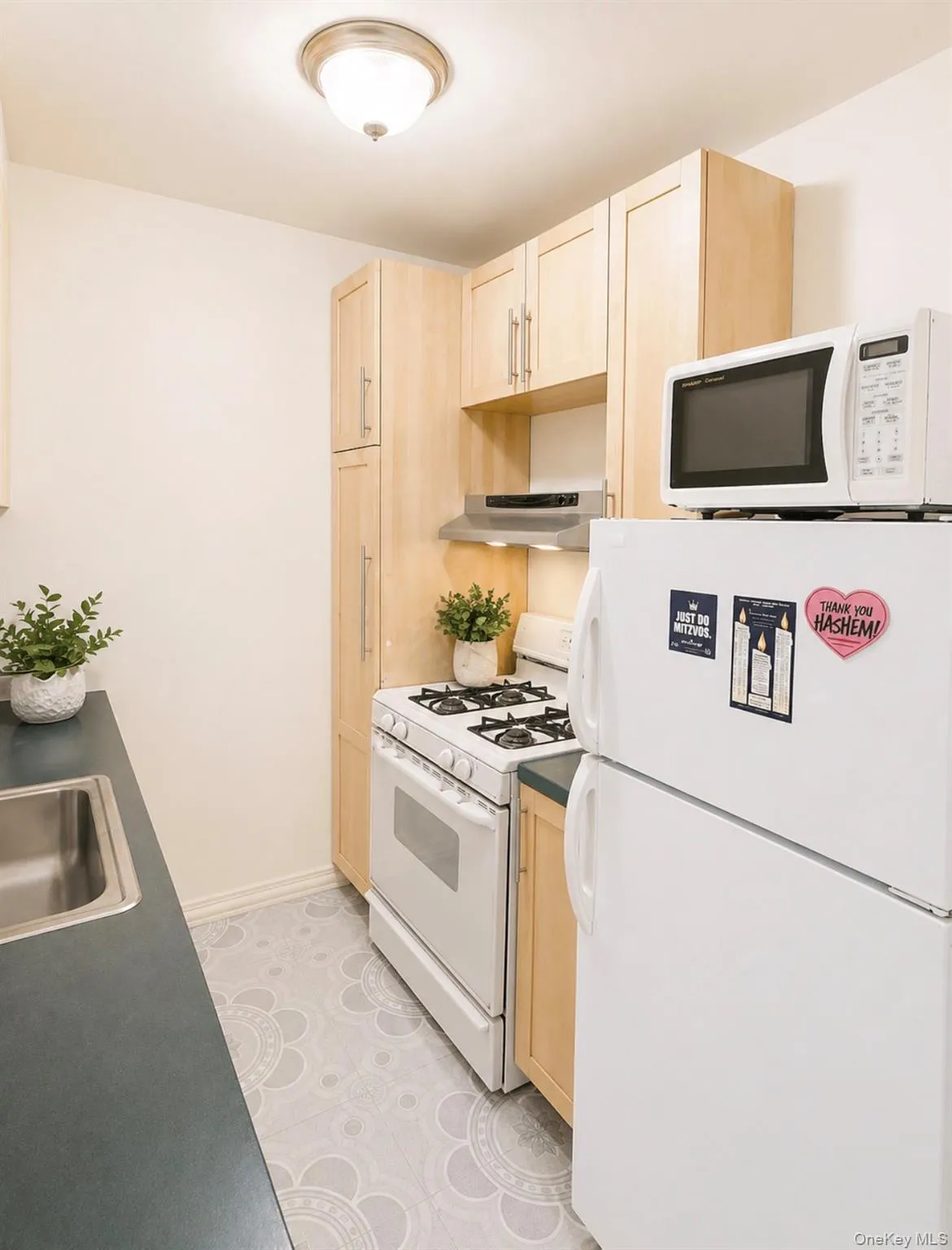 84-01 Main St, New York, NY, 2 Bedrooms Bedrooms, 5 Rooms Rooms,1 BathroomBathrooms,Residential,For Rent,Main St,0,993058 84-01 Main St, New York, NY, 2 Bedrooms Bedrooms, 5 Rooms Rooms,1 BathroomBathrooms,Residential,For Rent,Main St,0,993058