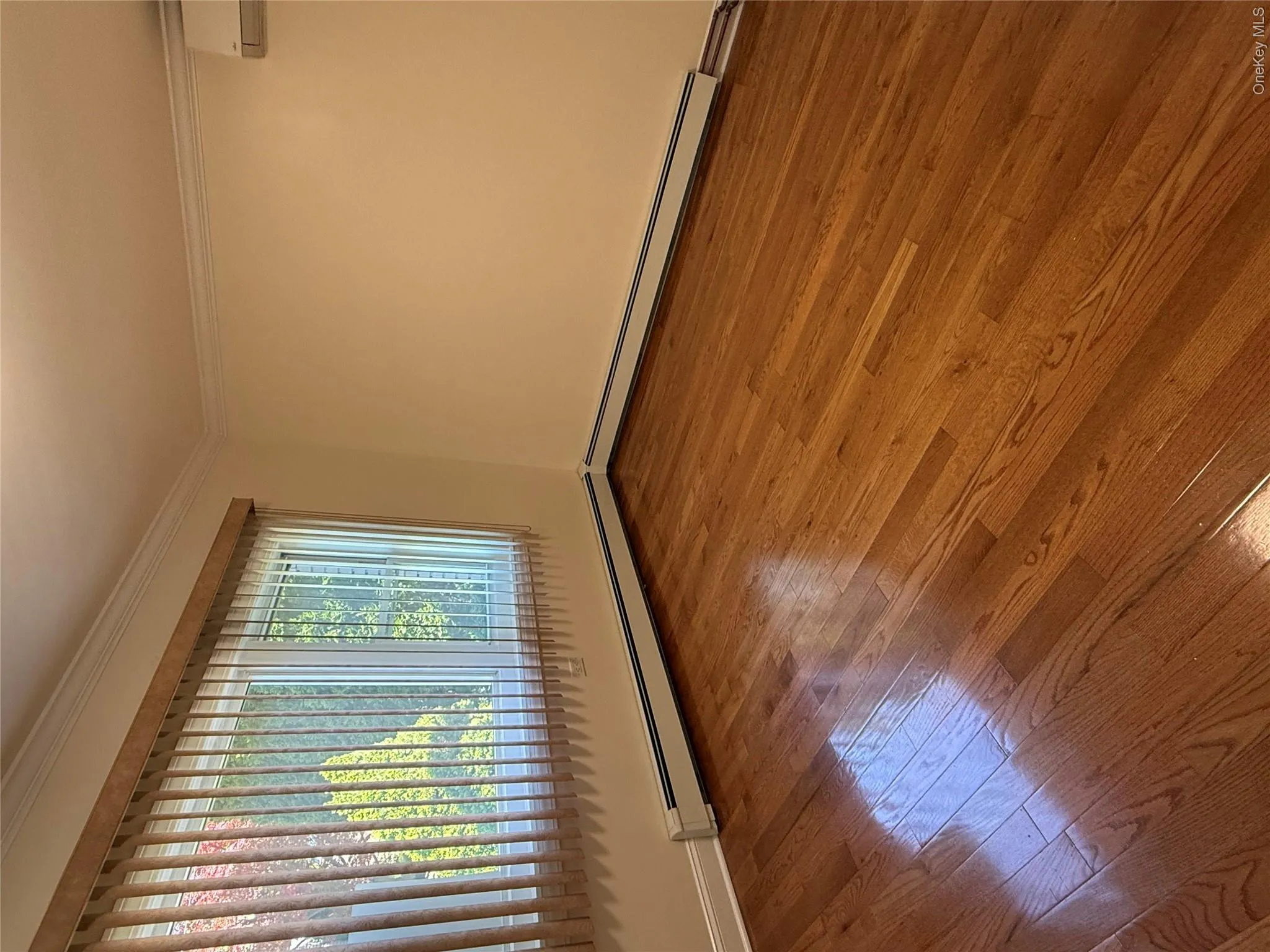 26 Florence Avenue, Greenburgh, NY, 3 Bedrooms Bedrooms, 5 Rooms Rooms,3 BathroomsBathrooms,Residential Lease,For Rent,Florence,0,993063 26 Florence Avenue, Greenburgh, NY, 3 Bedrooms Bedrooms, 5 Rooms Rooms,3 BathroomsBathrooms,Residential Lease,For Rent,Florence,0,993063