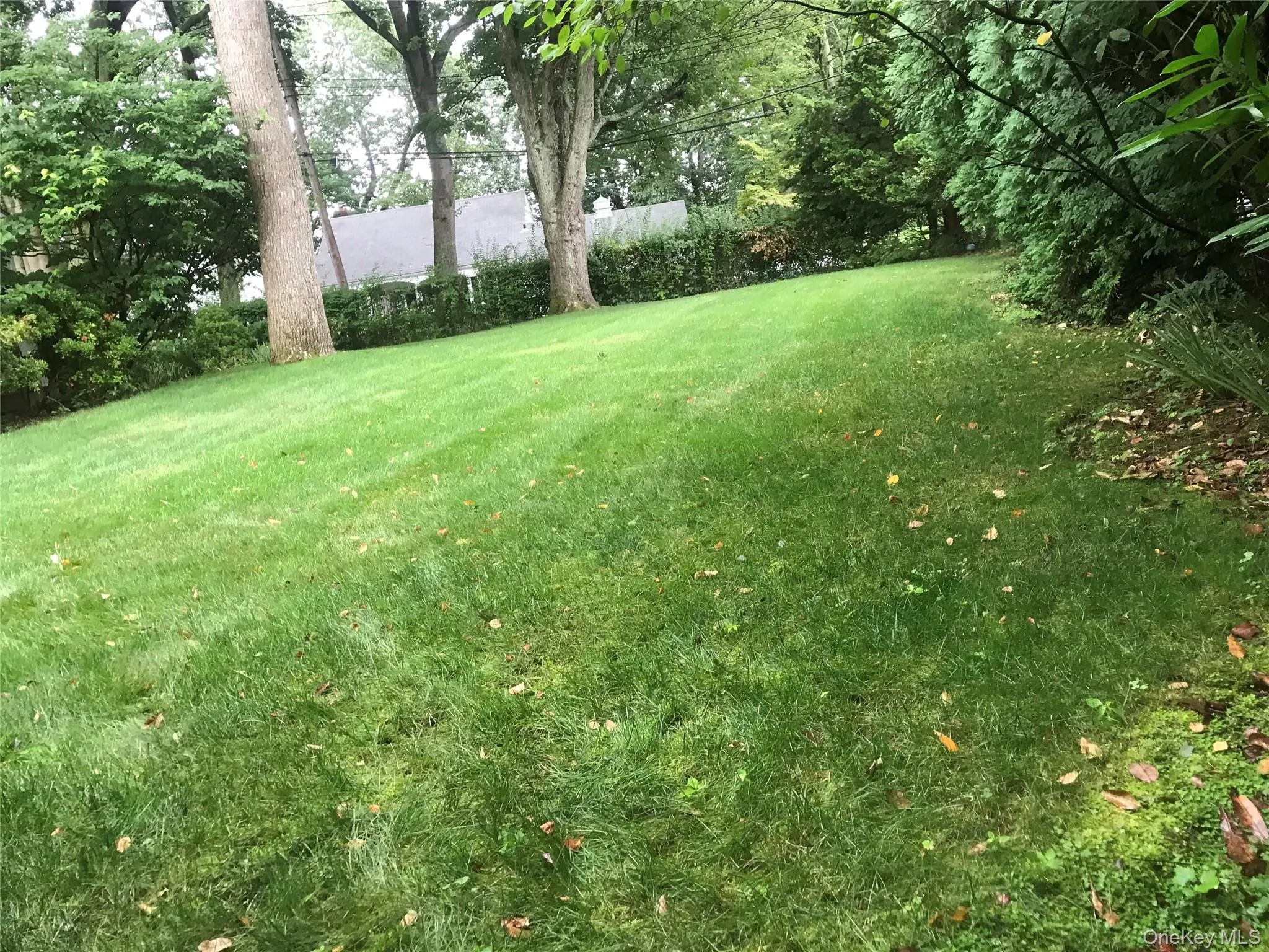 Level Yard Level Yard