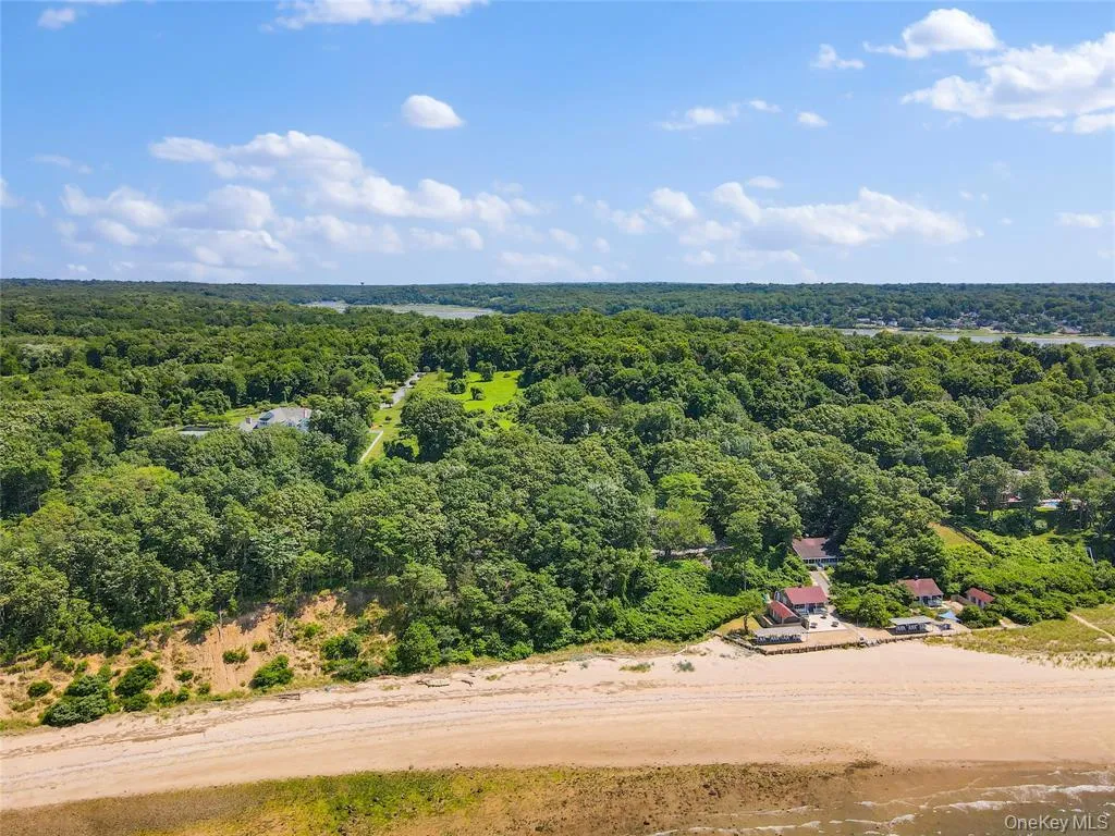 Boney Lane, Smithtown, NY, ,Land,For Rent,Boney,0,993093 Boney Lane, Smithtown, NY, ,Land,For Rent,Boney,0,993093