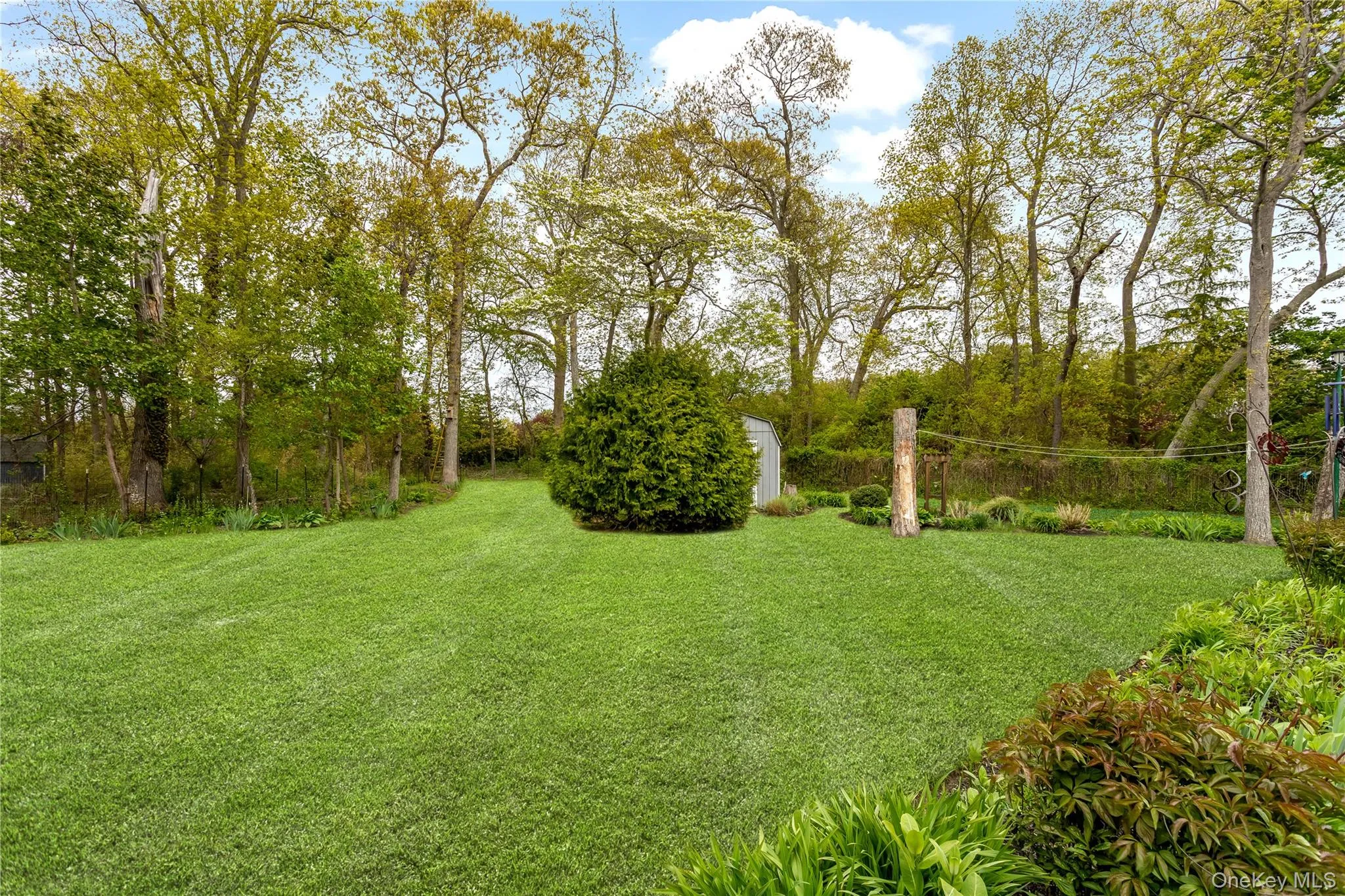 Backyard Backyard