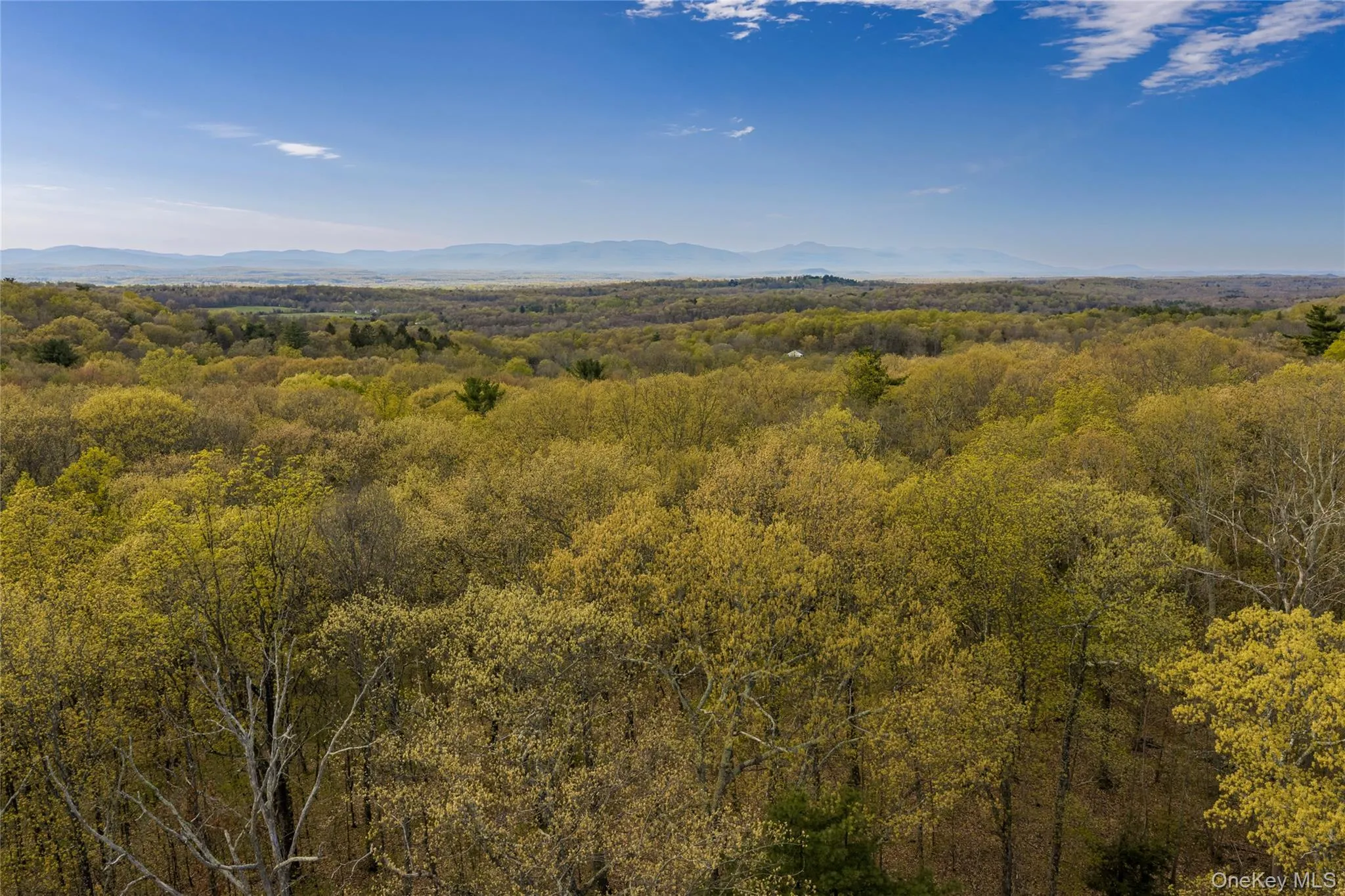 Schultz Hill Road, Clinton, NY, ,Land,For Rent,Schultz Hill,0,993151 Schultz Hill Road, Clinton, NY, ,Land,For Rent,Schultz Hill,0,993151