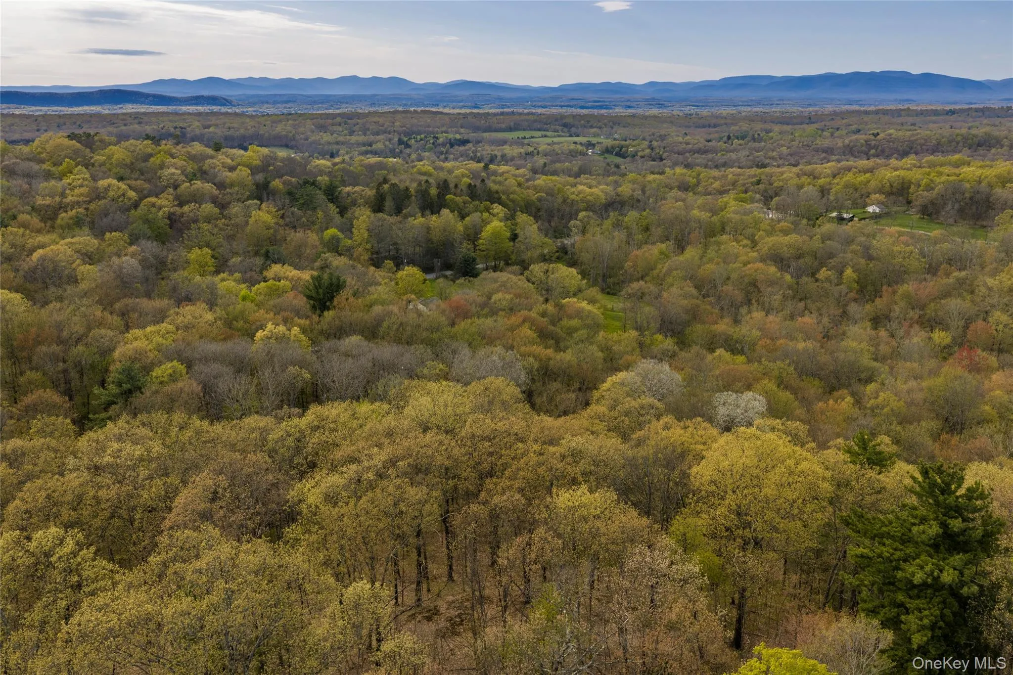 Schultz Hill Road, Clinton, NY, ,Land,For Rent,Schultz Hill,0,993151 Schultz Hill Road, Clinton, NY, ,Land,For Rent,Schultz Hill,0,993151