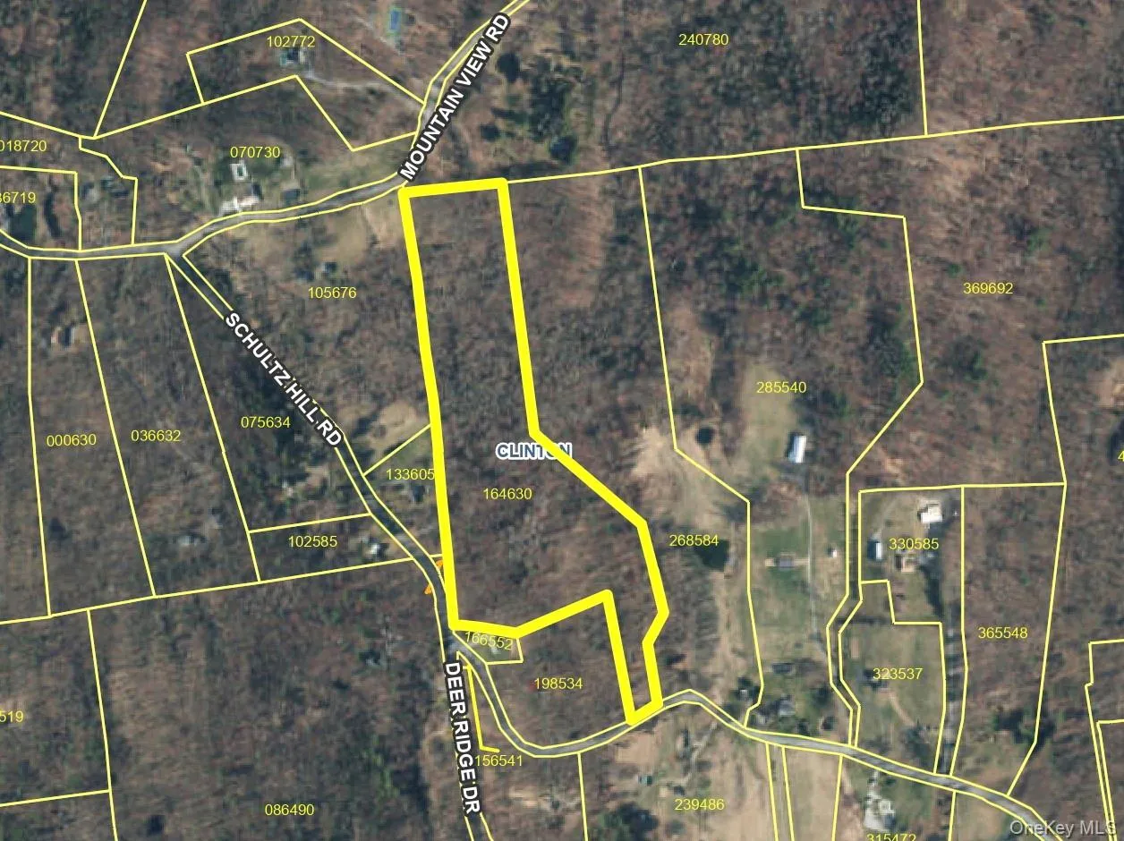 Schultz Hill Road, Clinton, NY, ,Land,For Rent,Schultz Hill,0,993151 Schultz Hill Road, Clinton, NY, ,Land,For Rent,Schultz Hill,0,993151