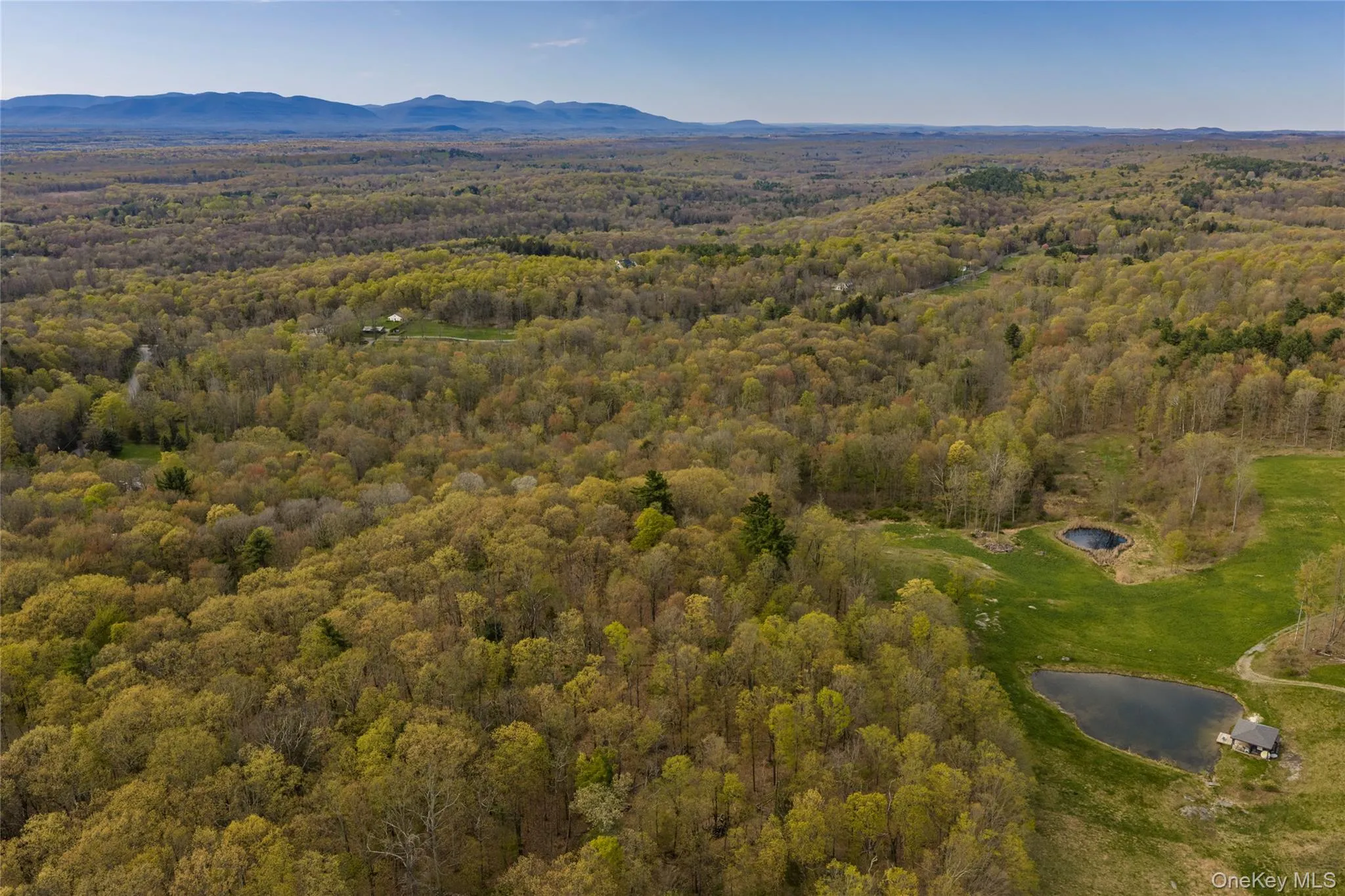 Schultz Hill Road, Clinton, NY, ,Land,For Rent,Schultz Hill,0,993151 Schultz Hill Road, Clinton, NY, ,Land,For Rent,Schultz Hill,0,993151