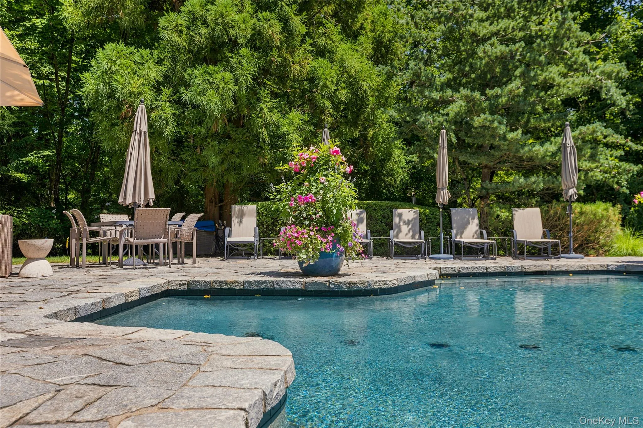 Free form pool with impressive patio surround with furniture included Free form pool with impressive patio surround with furniture included