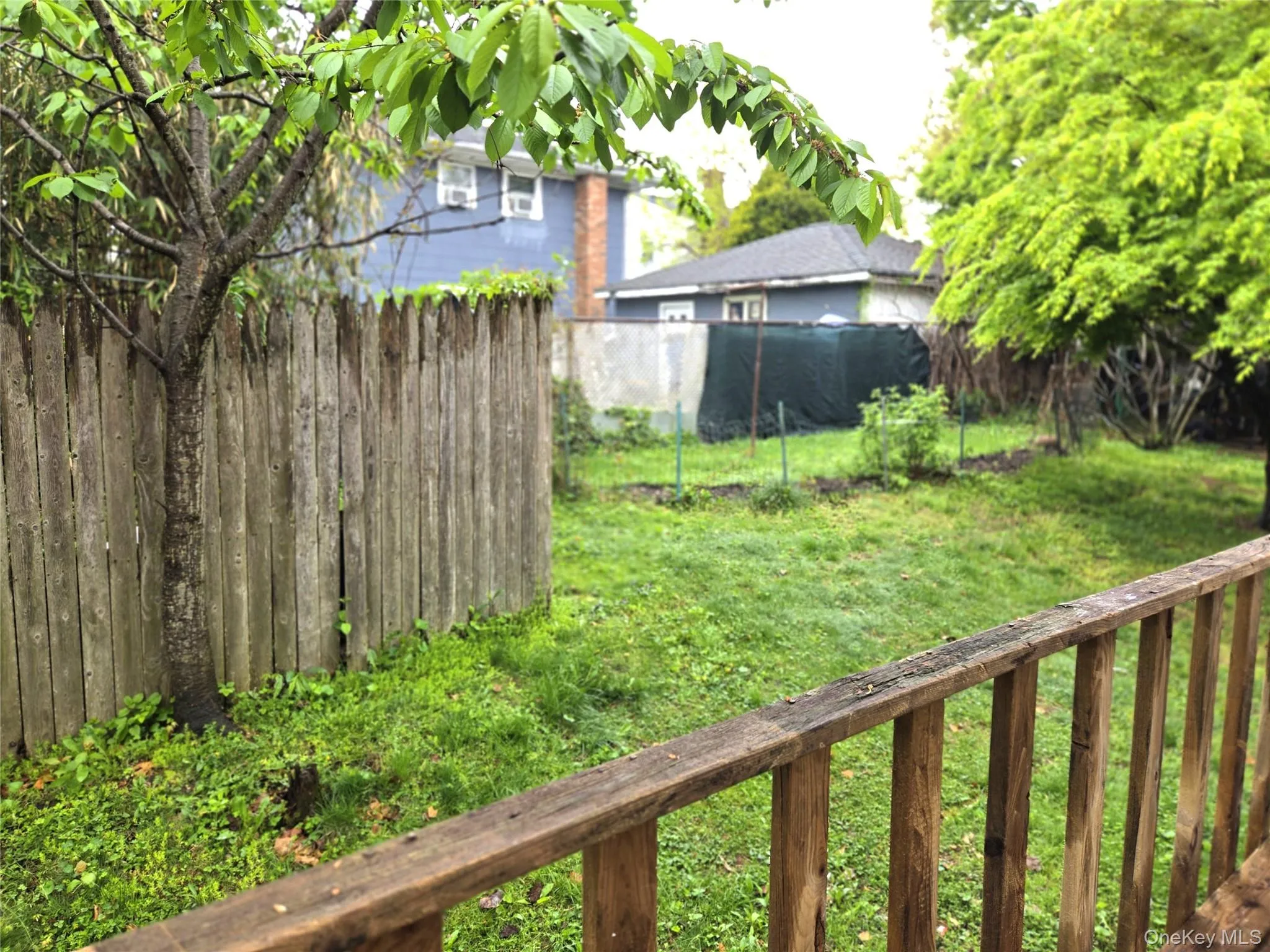 Deck, backyard Deck, backyard