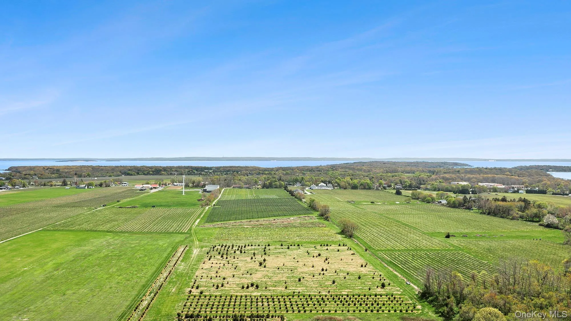 37025 Main Road, Southold, NY, ,Land,For Rent,Main,0,993359 37025 Main Road, Southold, NY, ,Land,For Rent,Main,0,993359