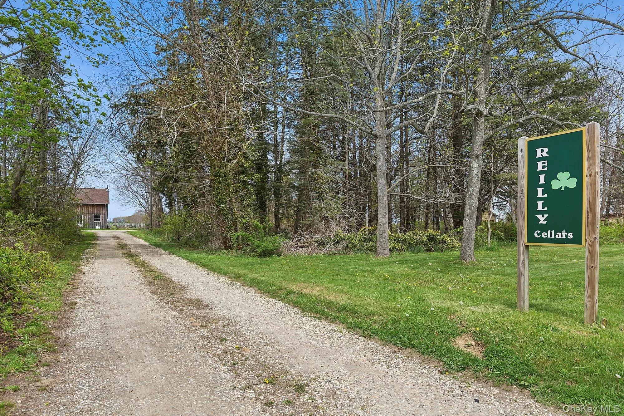 37025 Main Road, Southold, NY, ,Land,For Rent,Main,0,993359 37025 Main Road, Southold, NY, ,Land,For Rent,Main,0,993359