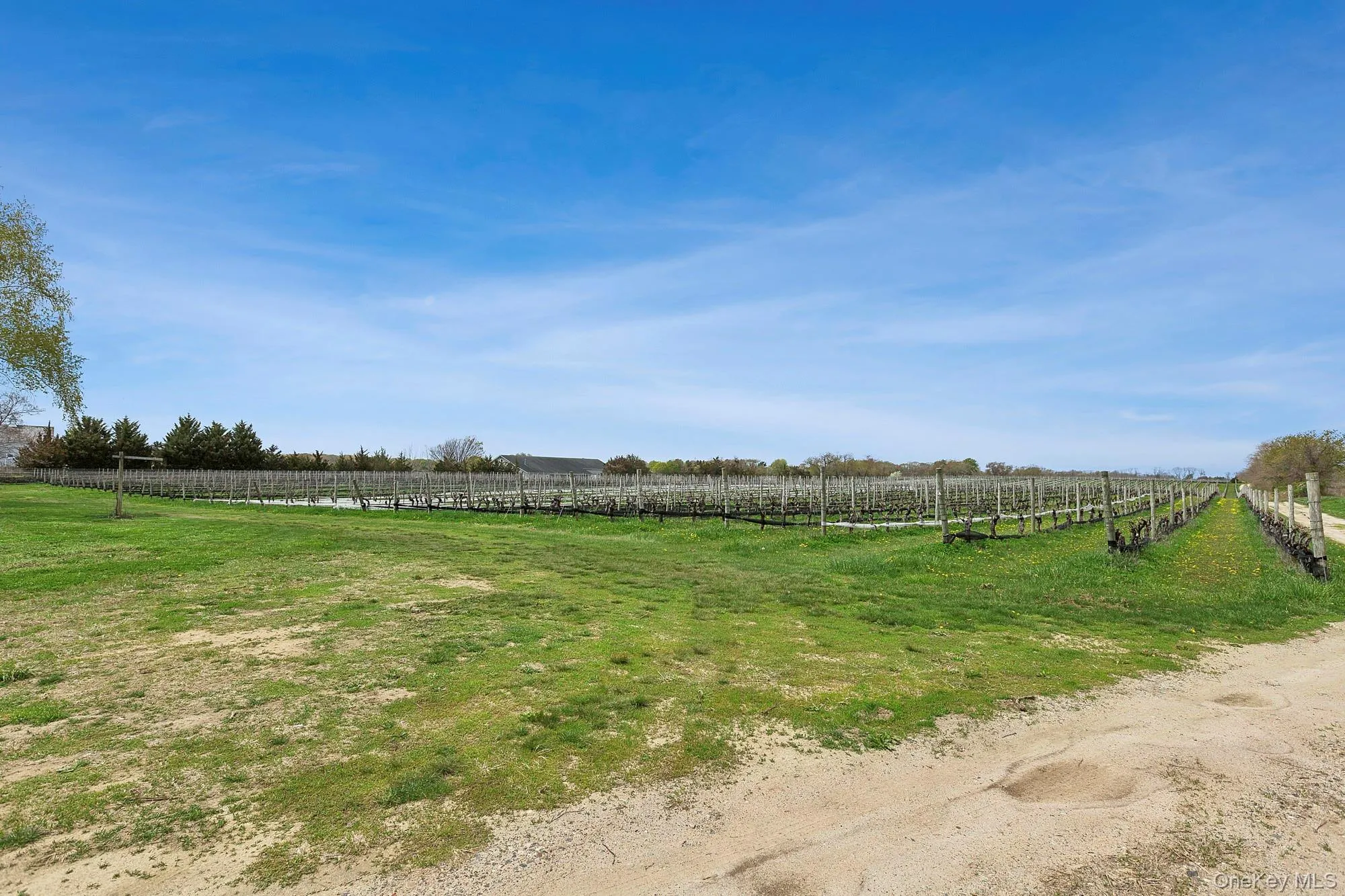 37025 Main Road, Southold, NY, ,Land,For Rent,Main,0,993359 37025 Main Road, Southold, NY, ,Land,For Rent,Main,0,993359