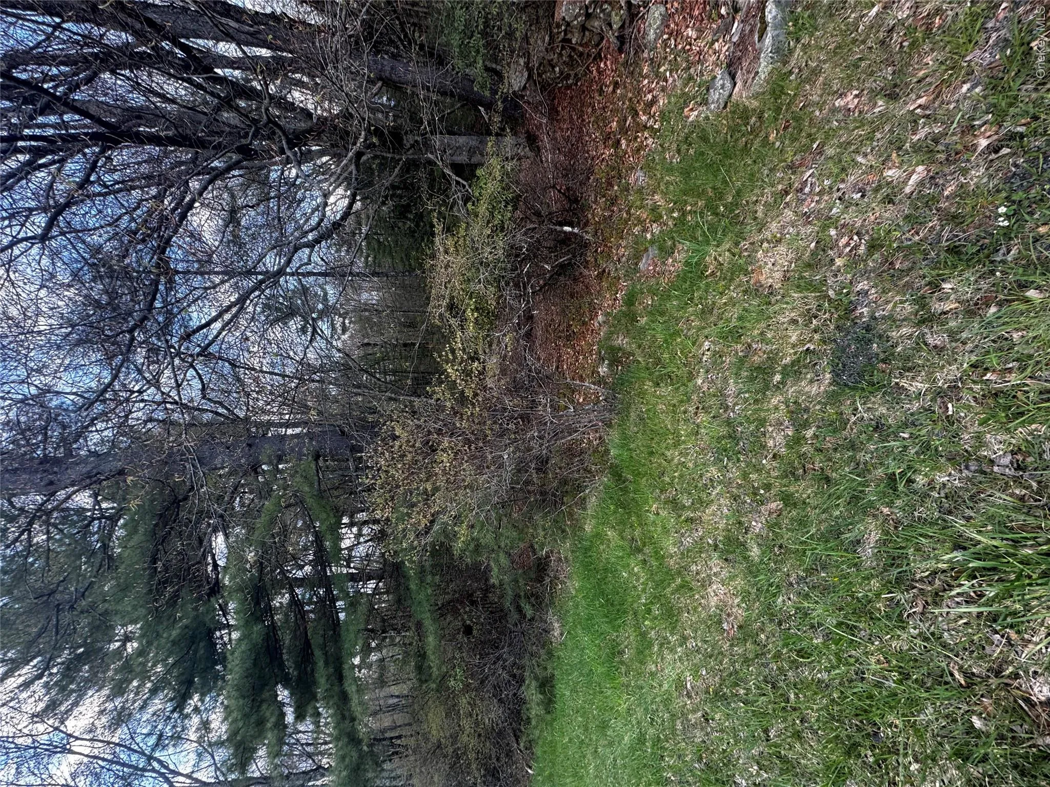 TBD 000 Ulster Heights Road, Fallsburg, NY, ,Land,For Rent,Ulster Heights,0,993403 TBD 000 Ulster Heights Road, Fallsburg, NY, ,Land,For Rent,Ulster Heights,0,993403