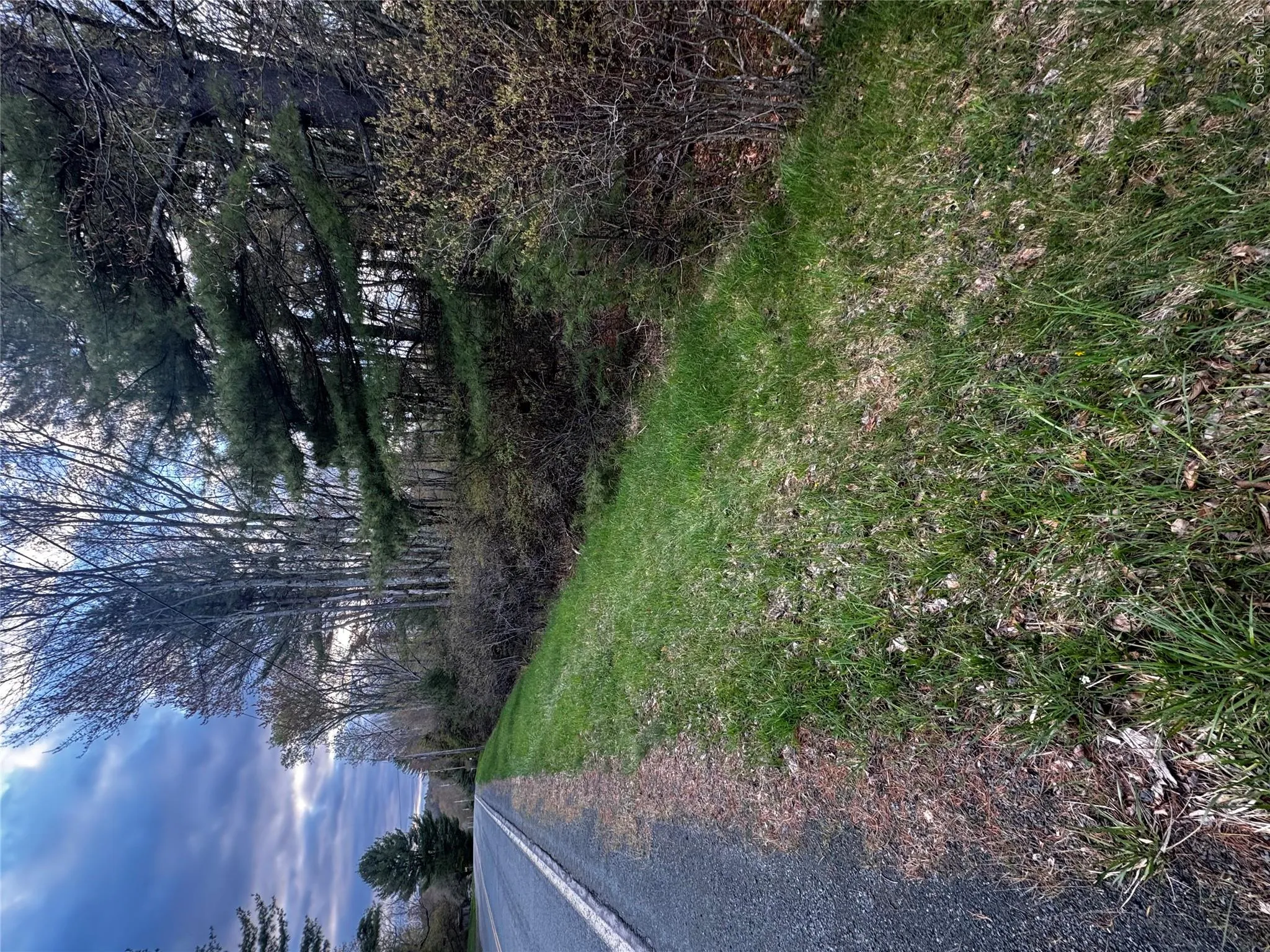 TBD 000 Ulster Heights Road, Fallsburg, NY, ,Land,For Rent,Ulster Heights,0,993403 TBD 000 Ulster Heights Road, Fallsburg, NY, ,Land,For Rent,Ulster Heights,0,993403