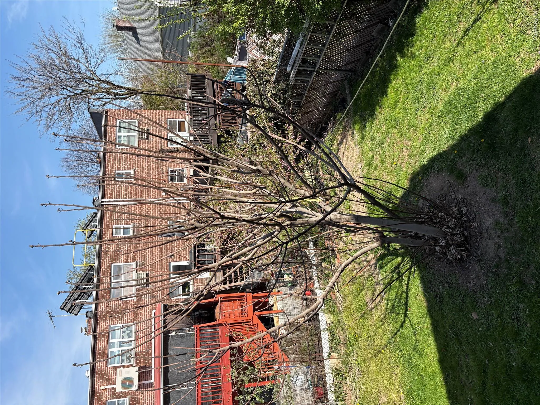1056 Swinton Avenue, New York, NY, 3 Bedrooms Bedrooms, 6 Rooms Rooms,2 BathroomsBathrooms,Residential,For Rent,Swinton,0,993471 1056 Swinton Avenue, New York, NY, 3 Bedrooms Bedrooms, 6 Rooms Rooms,2 BathroomsBathrooms,Residential,For Rent,Swinton,0,993471