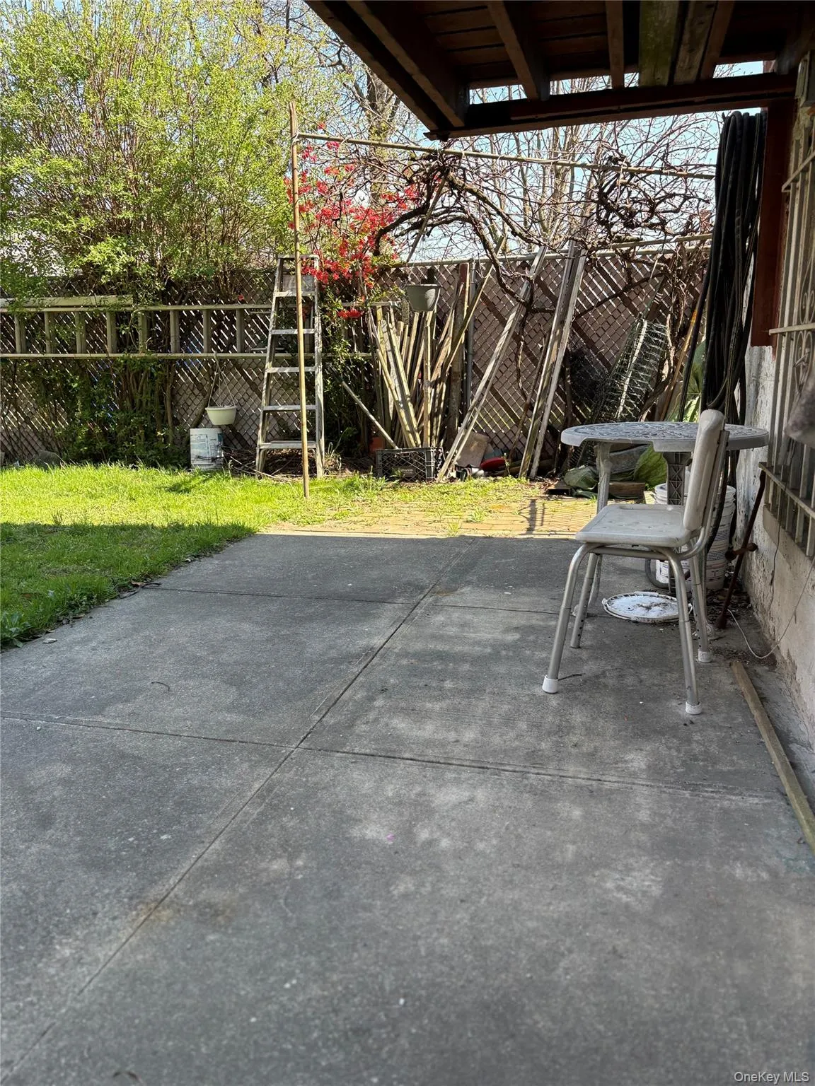 1056 Swinton Avenue, New York, NY, 3 Bedrooms Bedrooms, 6 Rooms Rooms,2 BathroomsBathrooms,Residential,For Rent,Swinton,0,993471 1056 Swinton Avenue, New York, NY, 3 Bedrooms Bedrooms, 6 Rooms Rooms,2 BathroomsBathrooms,Residential,For Rent,Swinton,0,993471