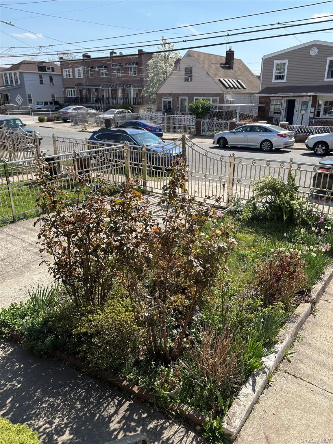 1056 Swinton Avenue, New York, NY, 3 Bedrooms Bedrooms, 6 Rooms Rooms,2 BathroomsBathrooms,Residential,For Rent,Swinton,0,993471 1056 Swinton Avenue, New York, NY, 3 Bedrooms Bedrooms, 6 Rooms Rooms,2 BathroomsBathrooms,Residential,For Rent,Swinton,0,993471