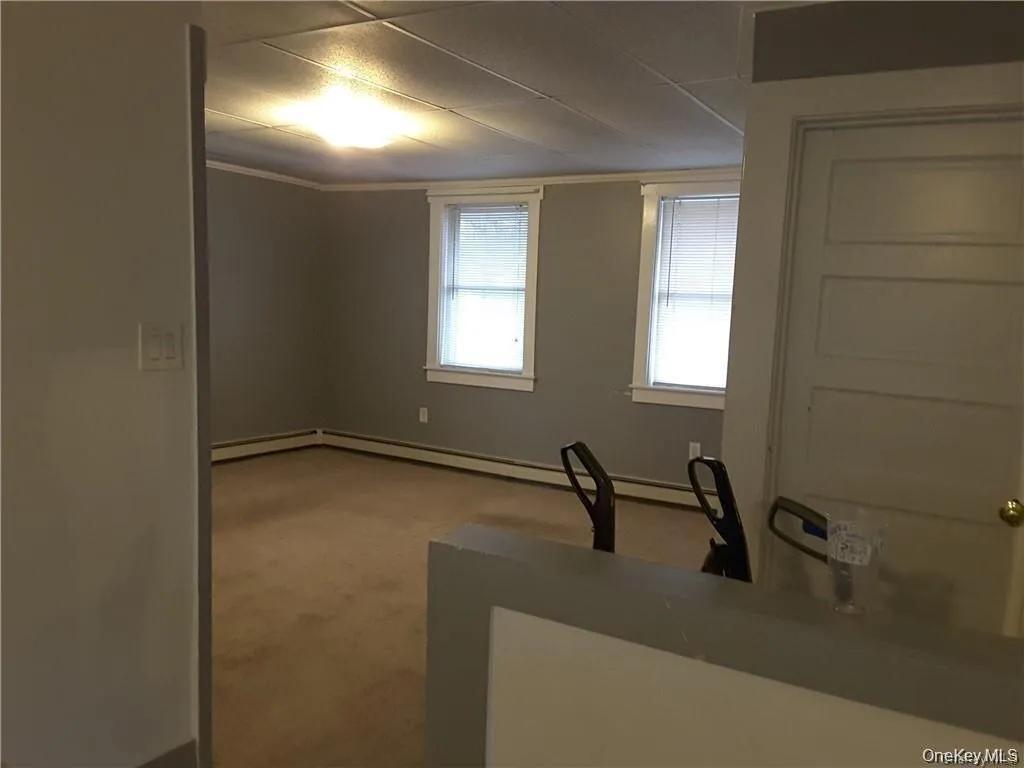 Room featuring neutral gray walls, two windows with blinds, baseboard heating, and ceiling-mounted lighting Room featuring neutral gray walls, two windows with blinds, baseboard heating, and ceiling-mounted lighting