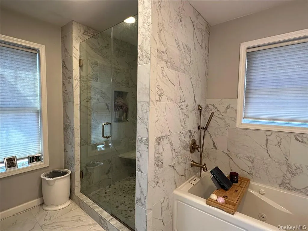 Luxury spa tub and stall shower Luxury spa tub and stall shower