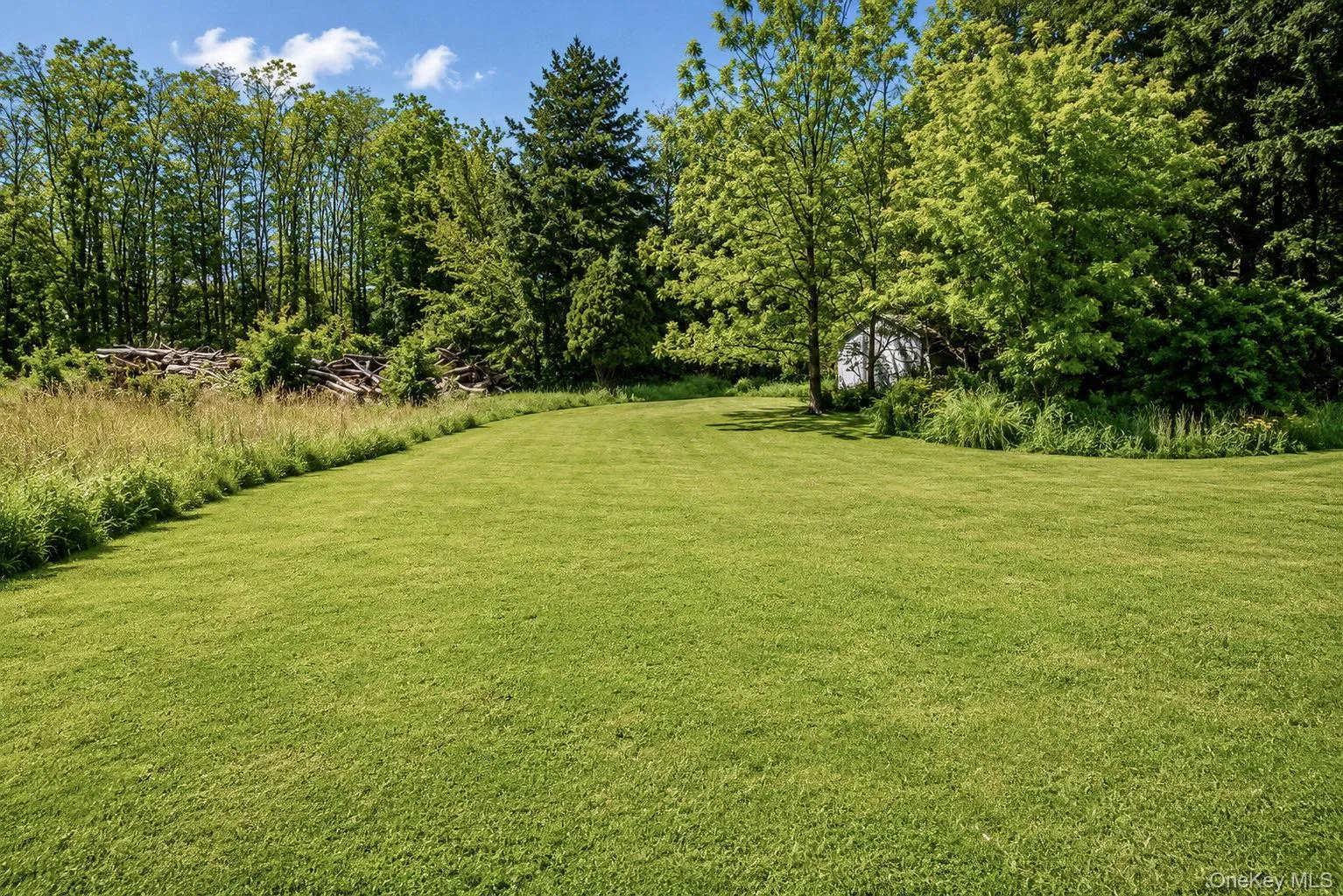 Side yard space off of the driveway to the shed Side yard space off of the driveway to the shed