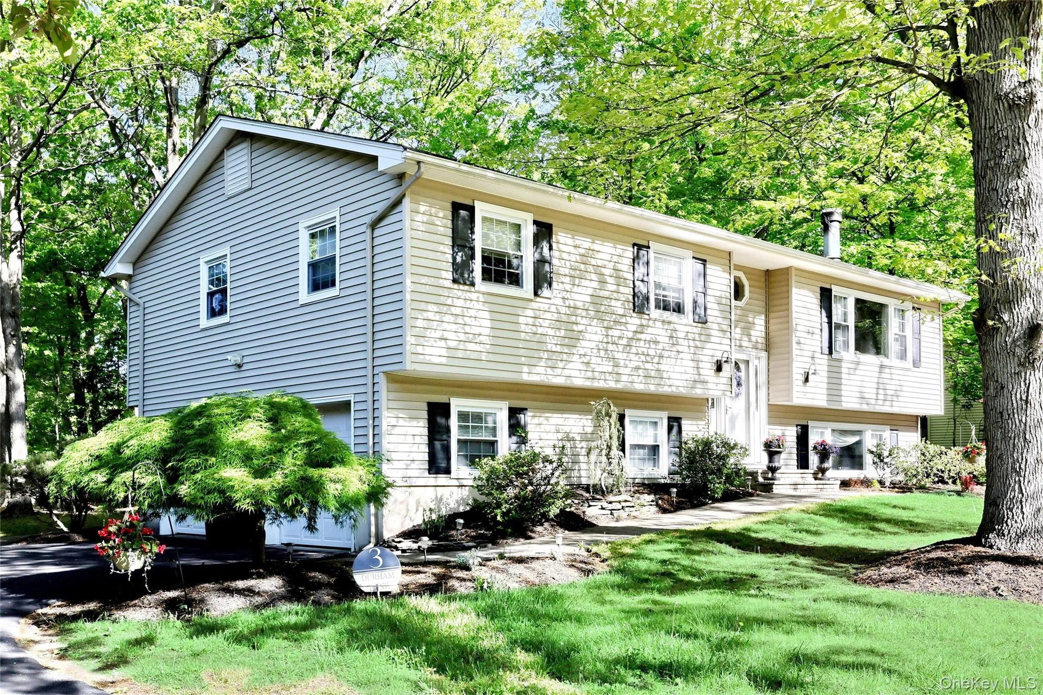 3 Durham Lane, Ramapo, NY, 4 Bedrooms Bedrooms, 8 Rooms Rooms,2 BathroomsBathrooms,Residential Sale,For Rent,Durham,0,993599 3 Durham Lane, Ramapo, NY, 4 Bedrooms Bedrooms, 8 Rooms Rooms,2 BathroomsBathrooms,Residential Sale,For Rent,Durham,0,993599